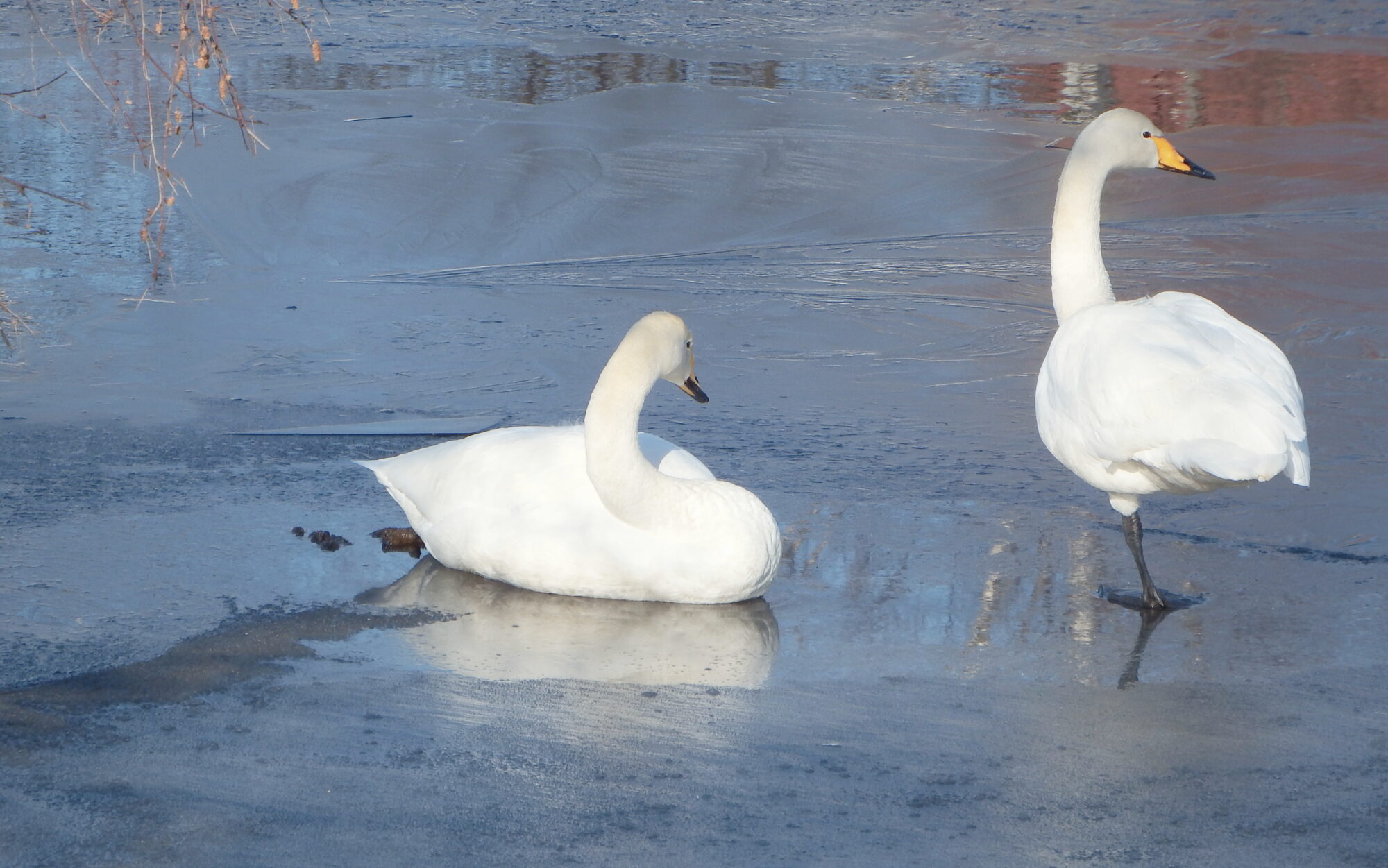 Valokuvaaja: Kaarlo Asikainen Valokuvaaja: Kaarlo Asikainen