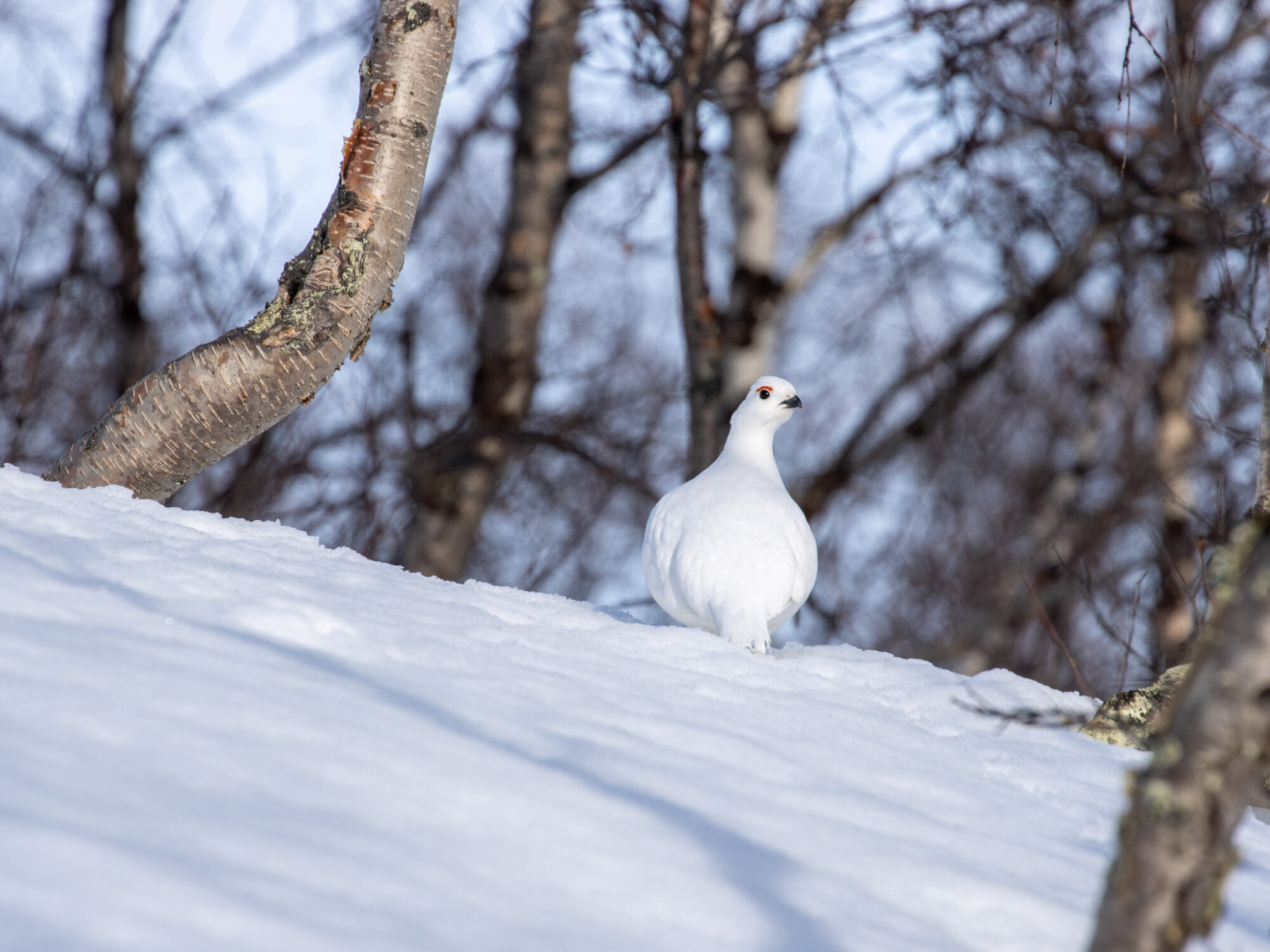 Valokuvaaja: Katri Niskanen