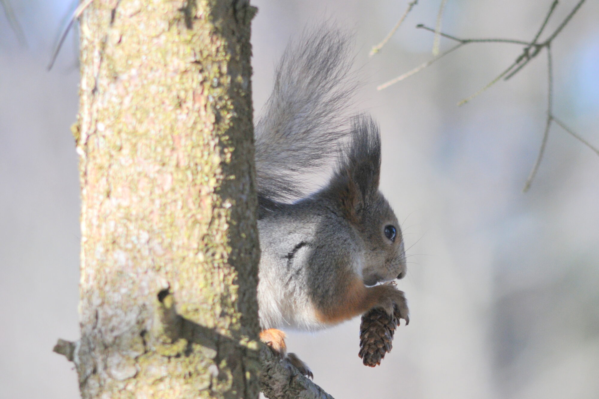 Valokuvaaja: Kaarlo Asikainen