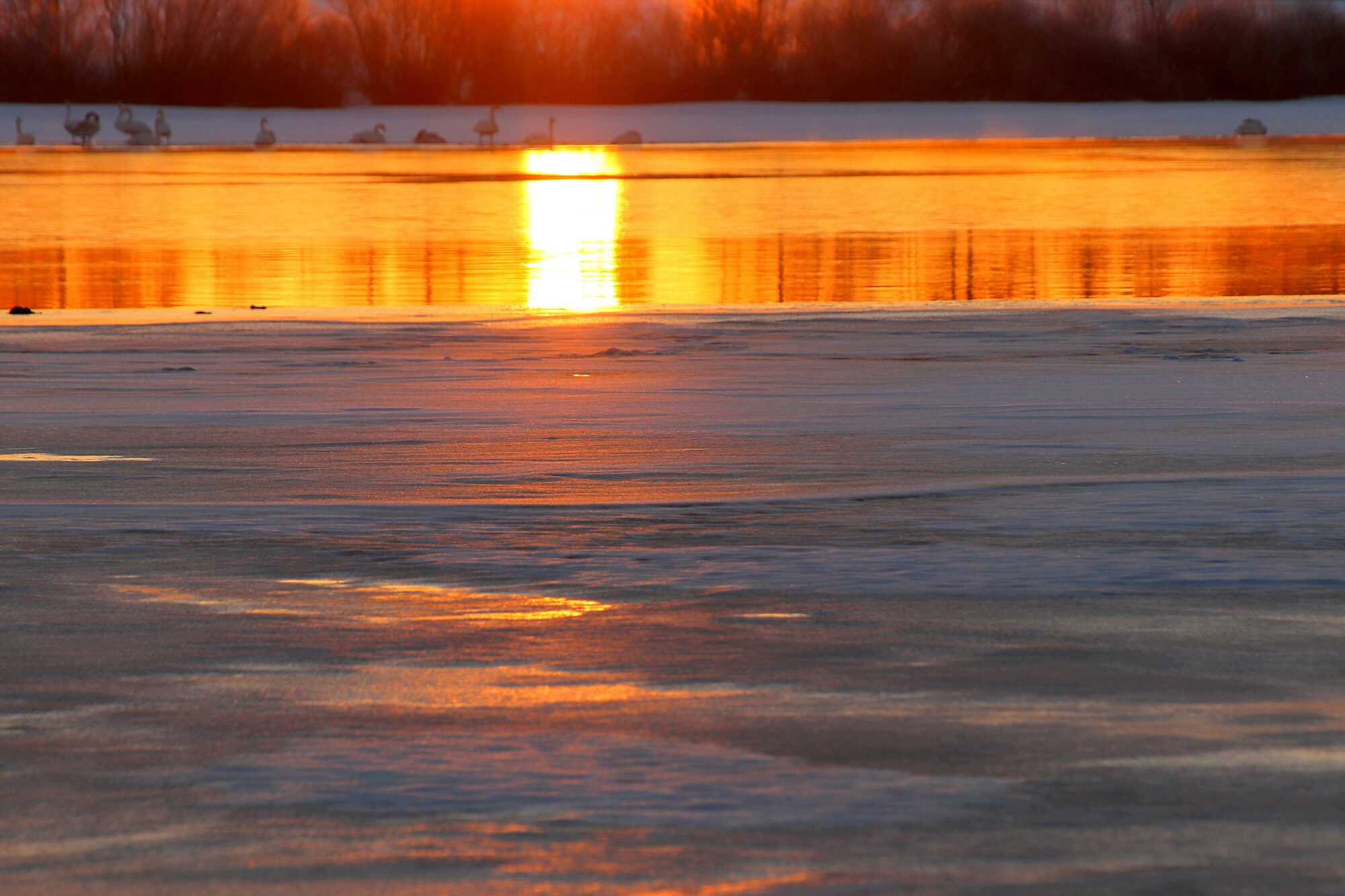 Valokuvaaja: sirpa jyske