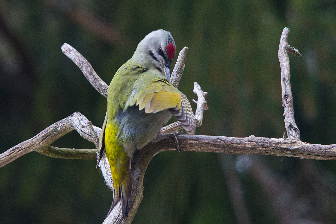 Valokuvaaja: Aarre Leskinen