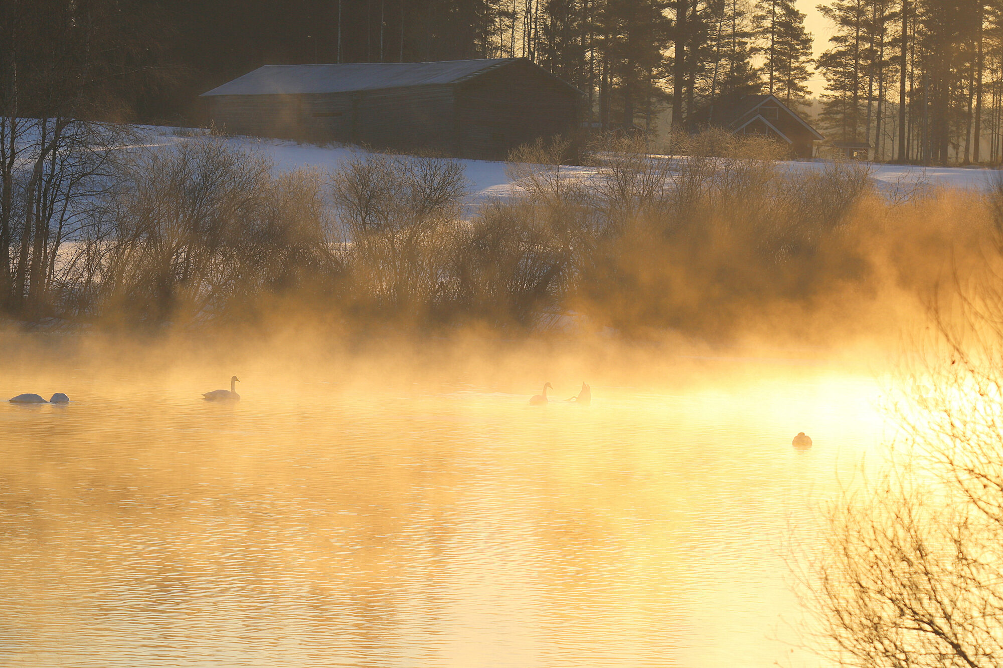 Valokuvaaja: sirpa jyske