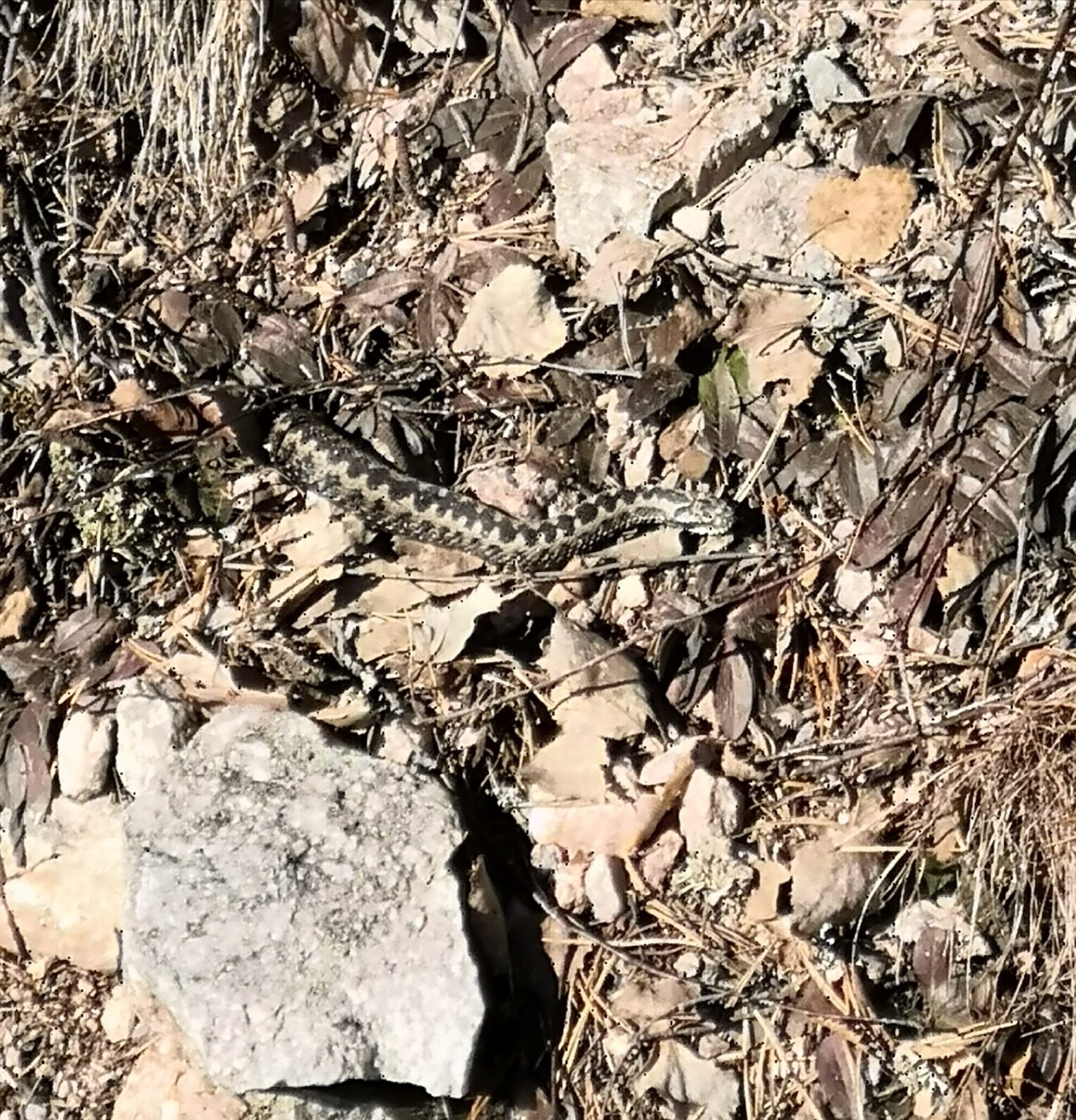 Valokuvaaja: Leena Hannila