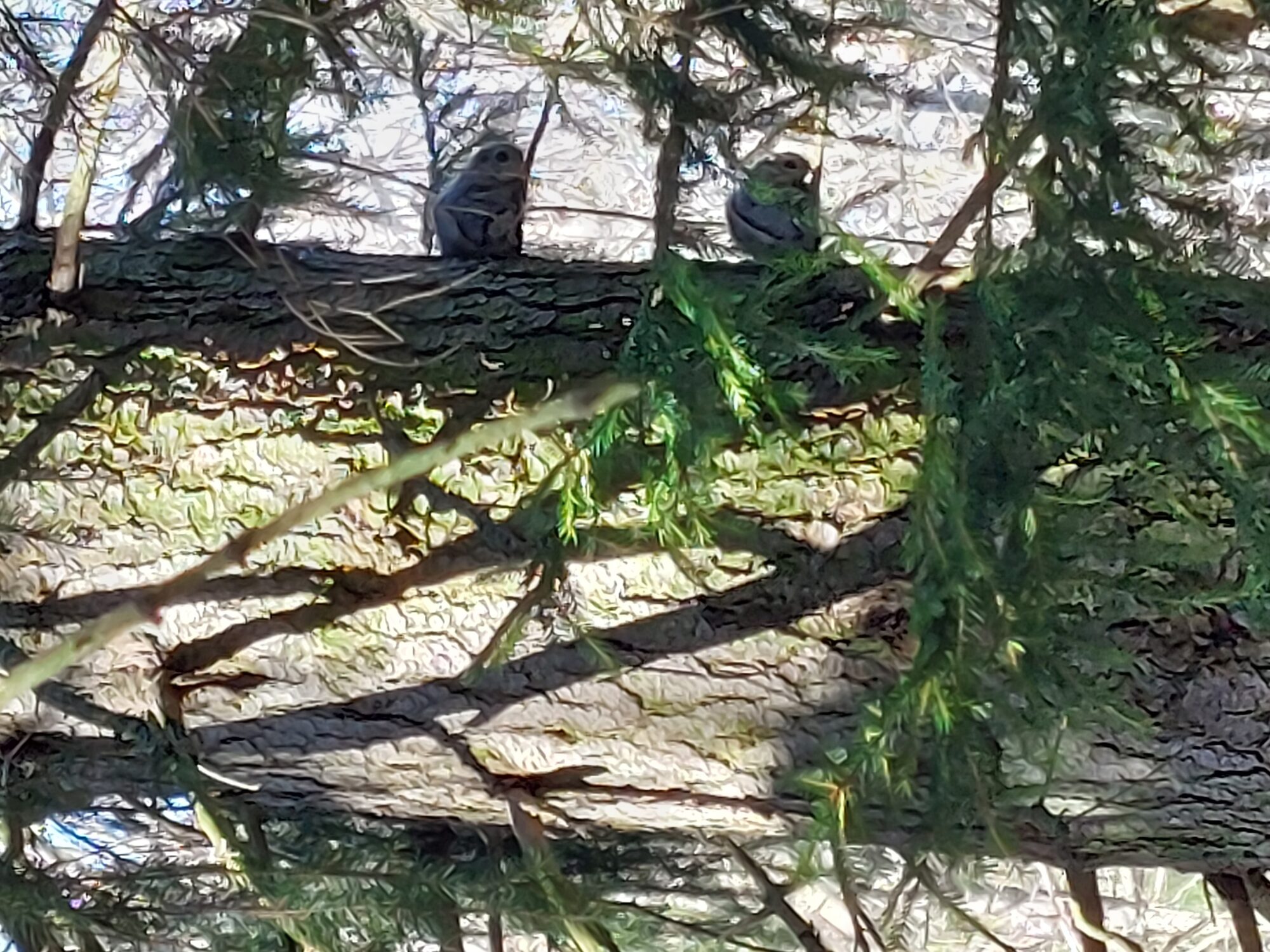 Valokuvaaja: Janne Suominen