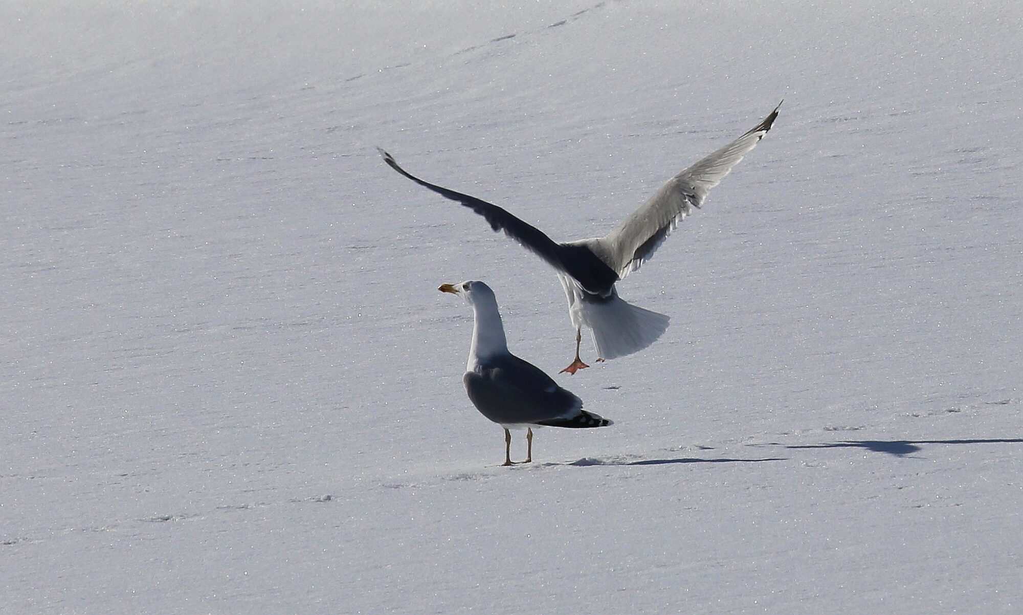 Valokuvaaja: Jaana Saarelainen