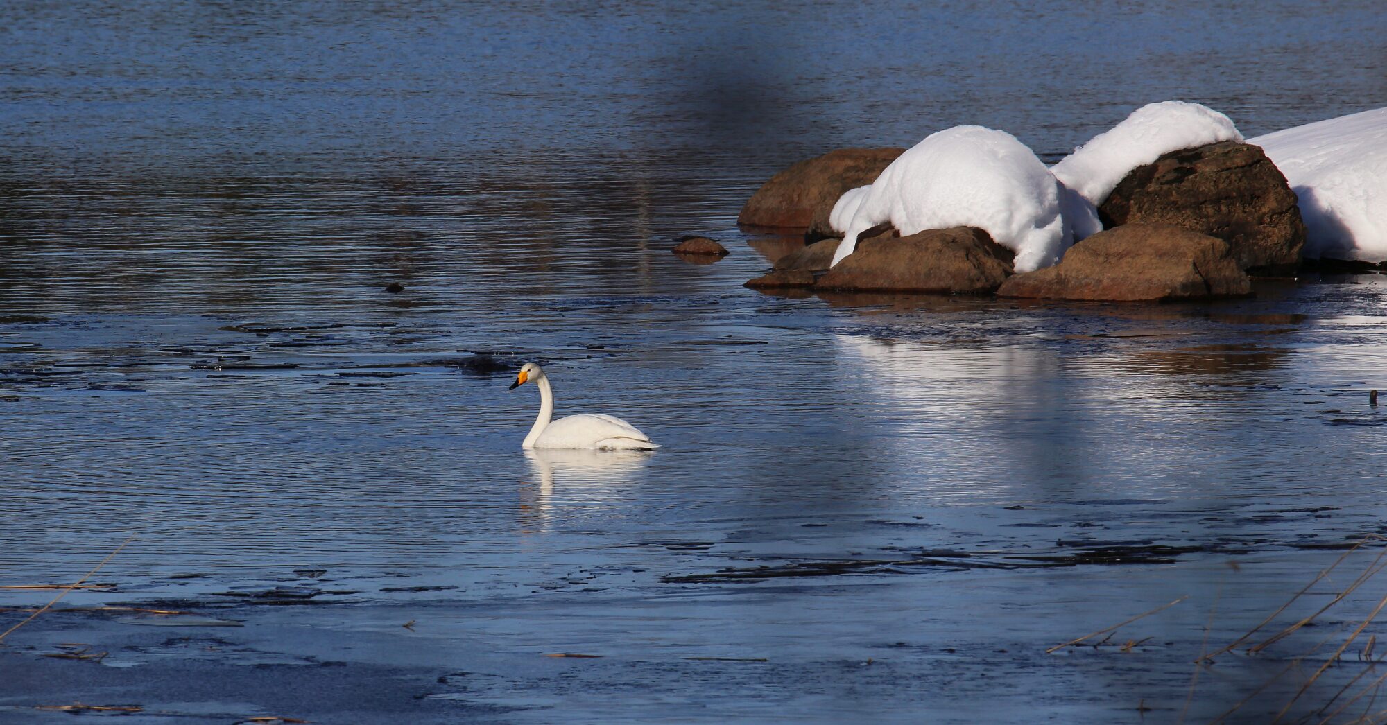 Valokuvaaja: Jaana Saarelainen