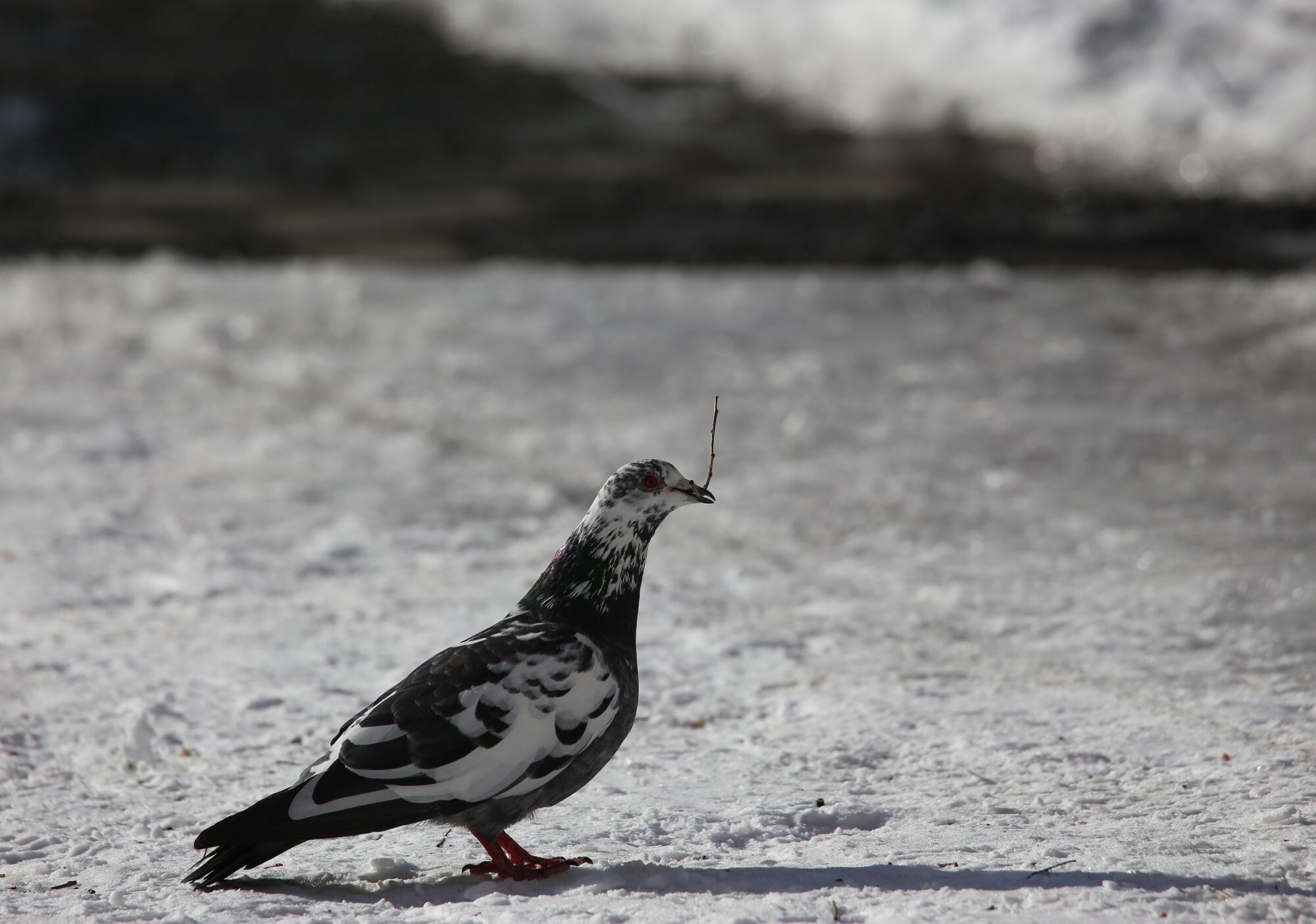 Valokuvaaja: Jaana Saarelainen