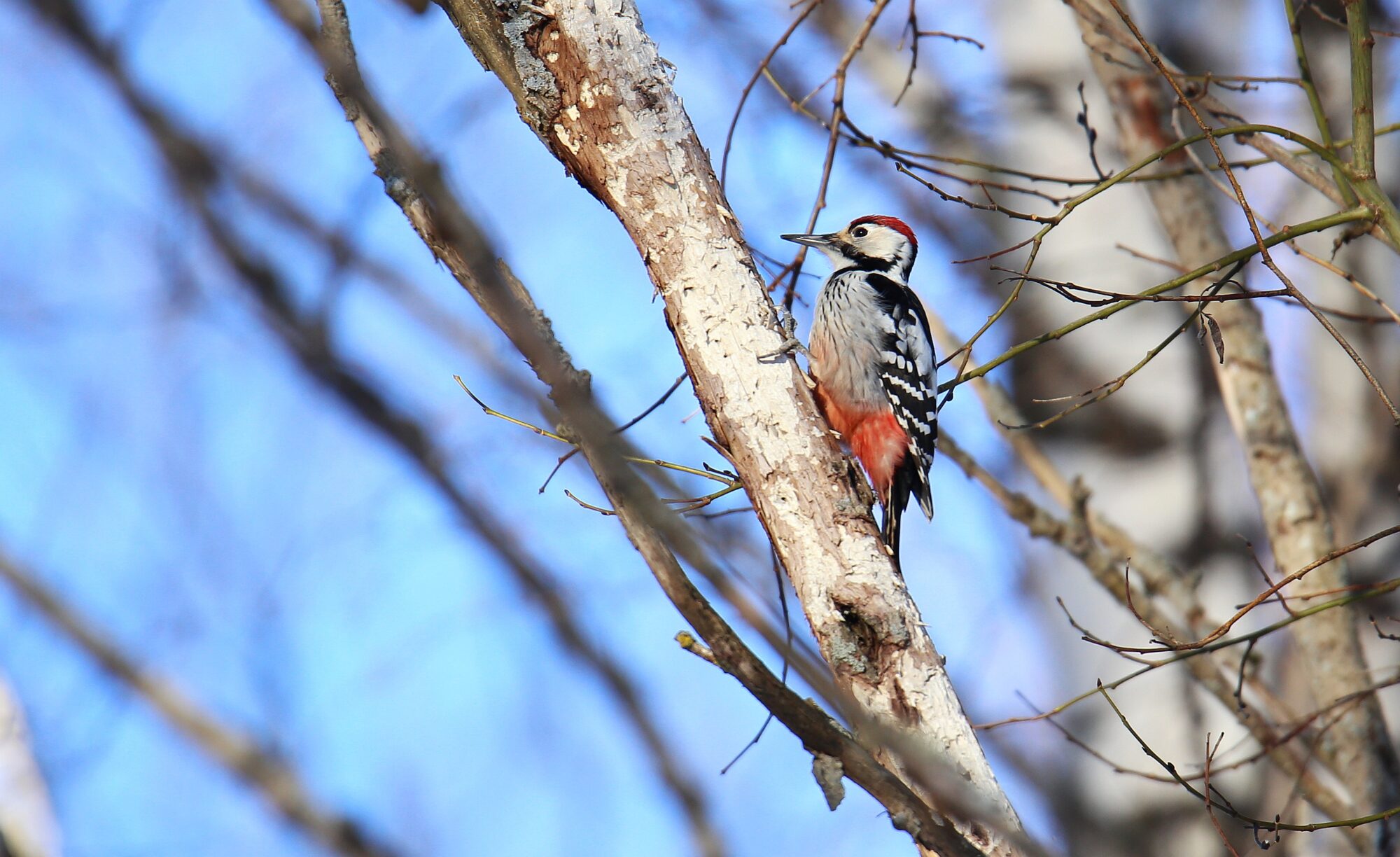 Valokuvaaja: Jaana Saarelainen