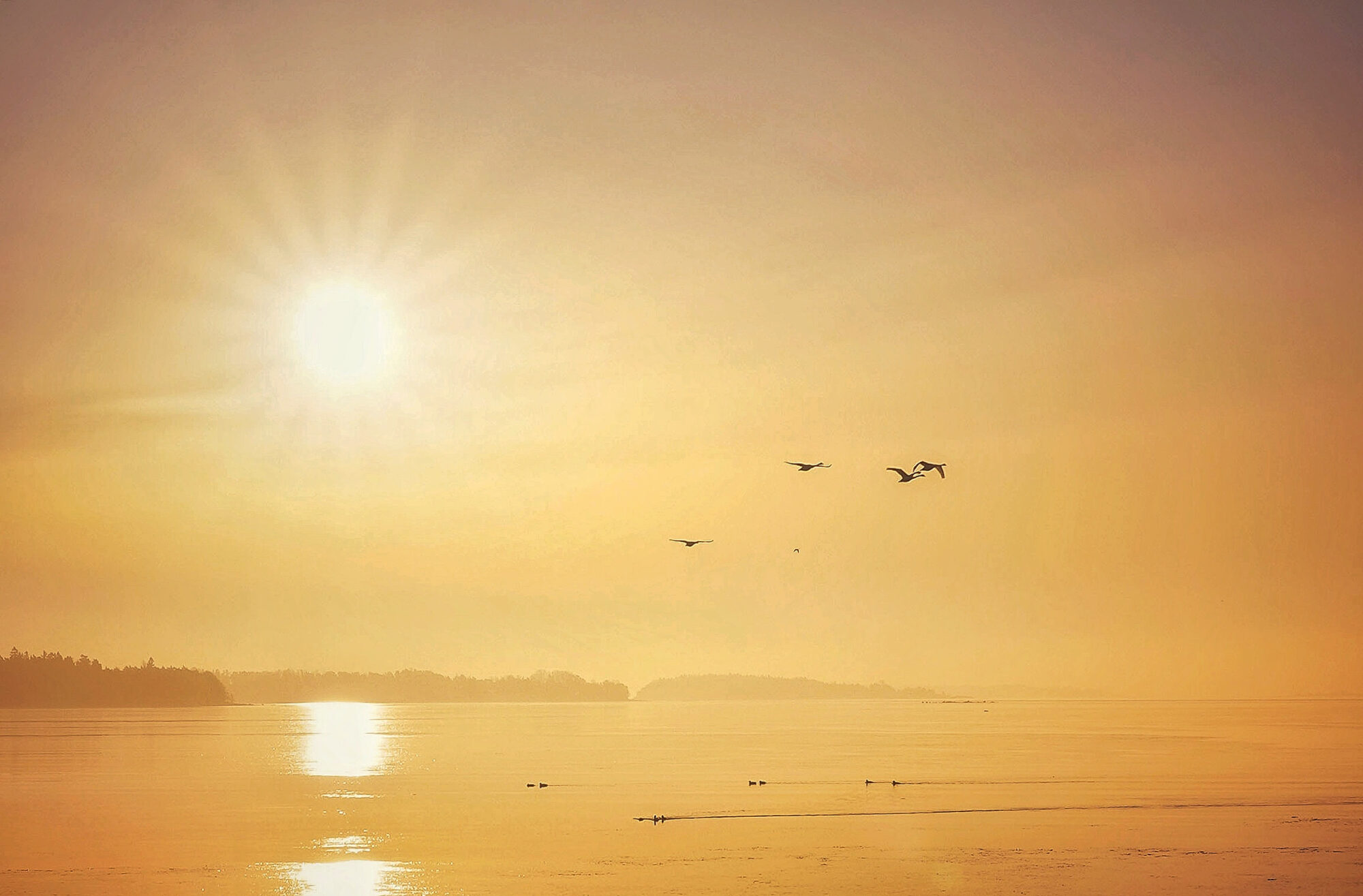 Valokuvaaja: Kerttuli Fisk