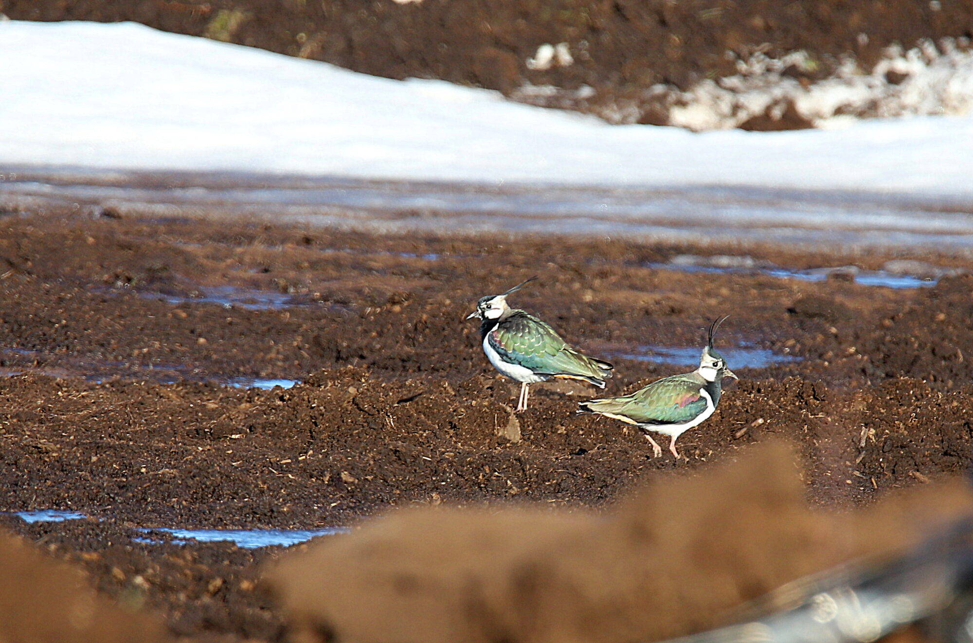 Valokuvaaja: sirpa jyske