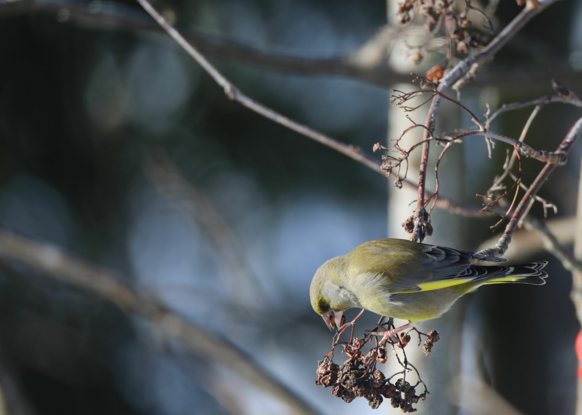 Valokuvaaja: Ahti Keränen