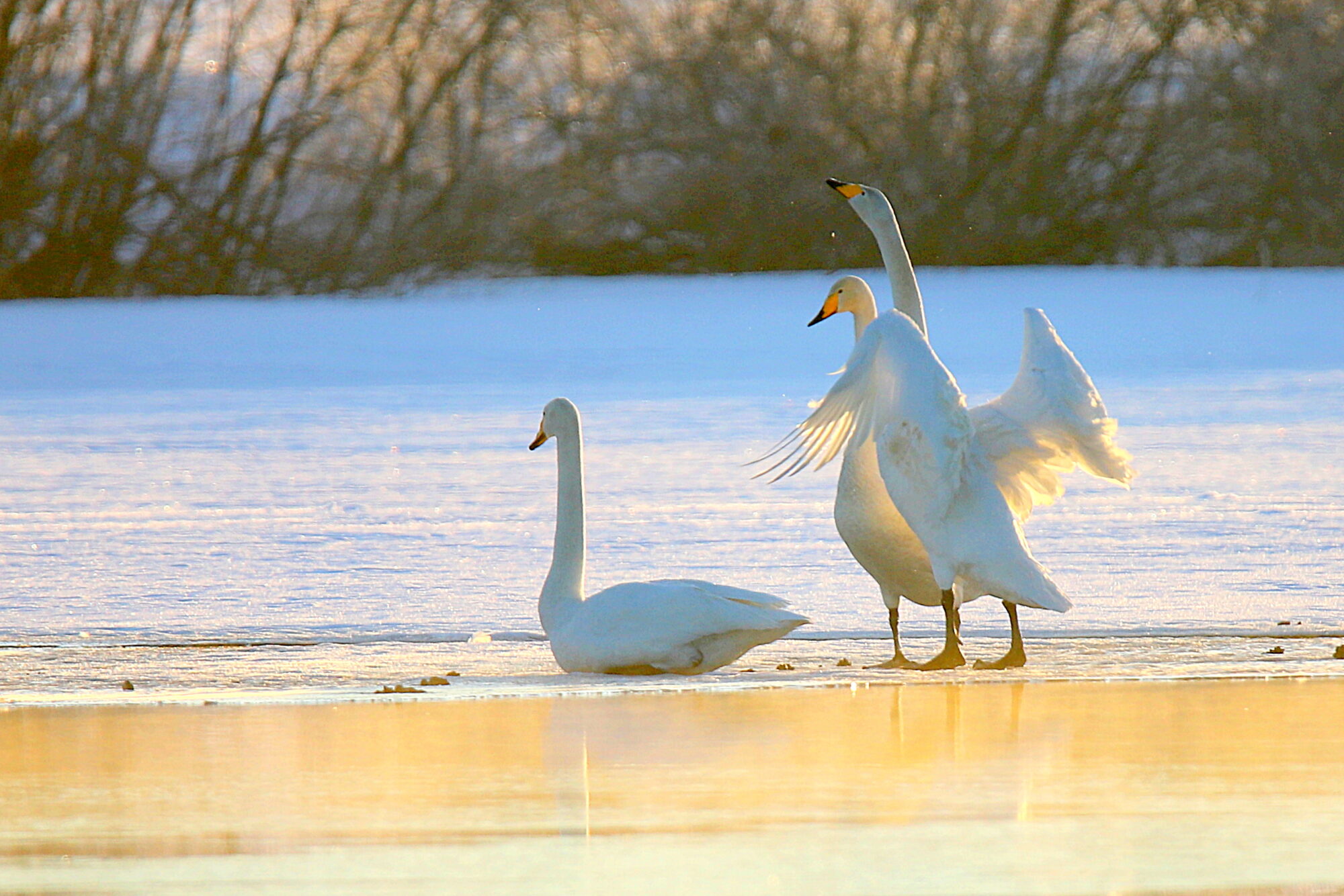 Valokuvaaja: sirpa jyske