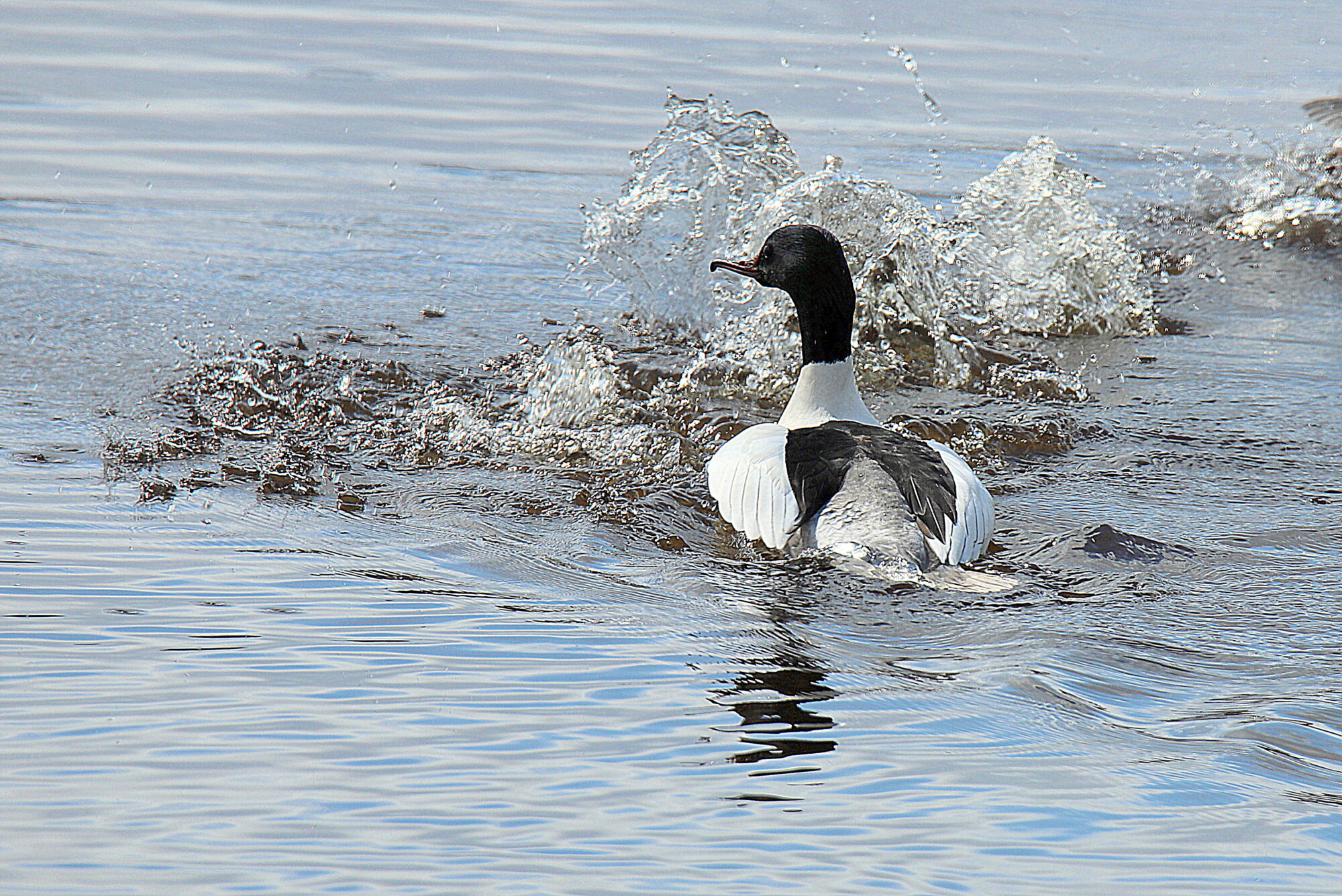 Valokuvaaja: sirpa jyske