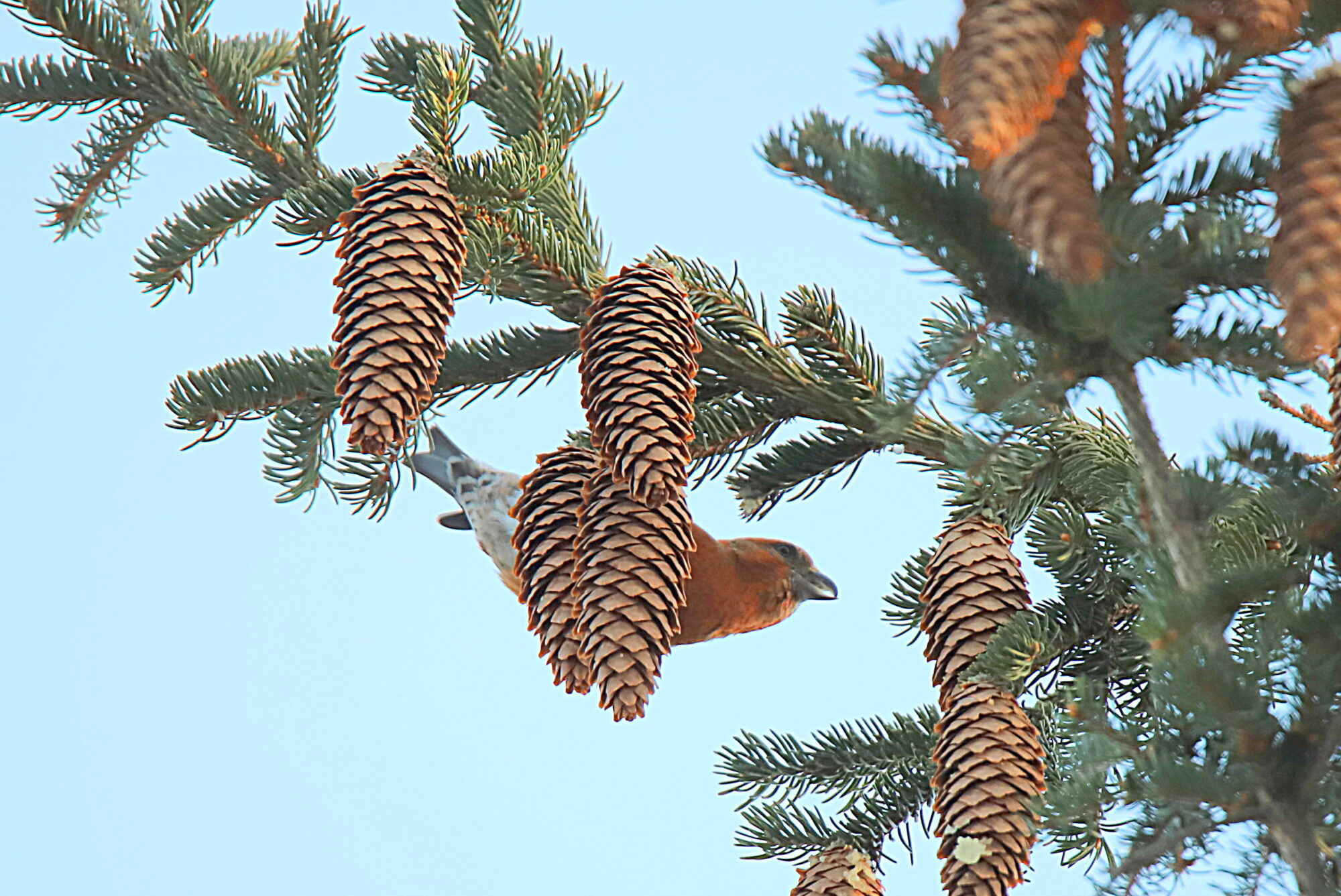 Valokuvaaja: sirpa jyske