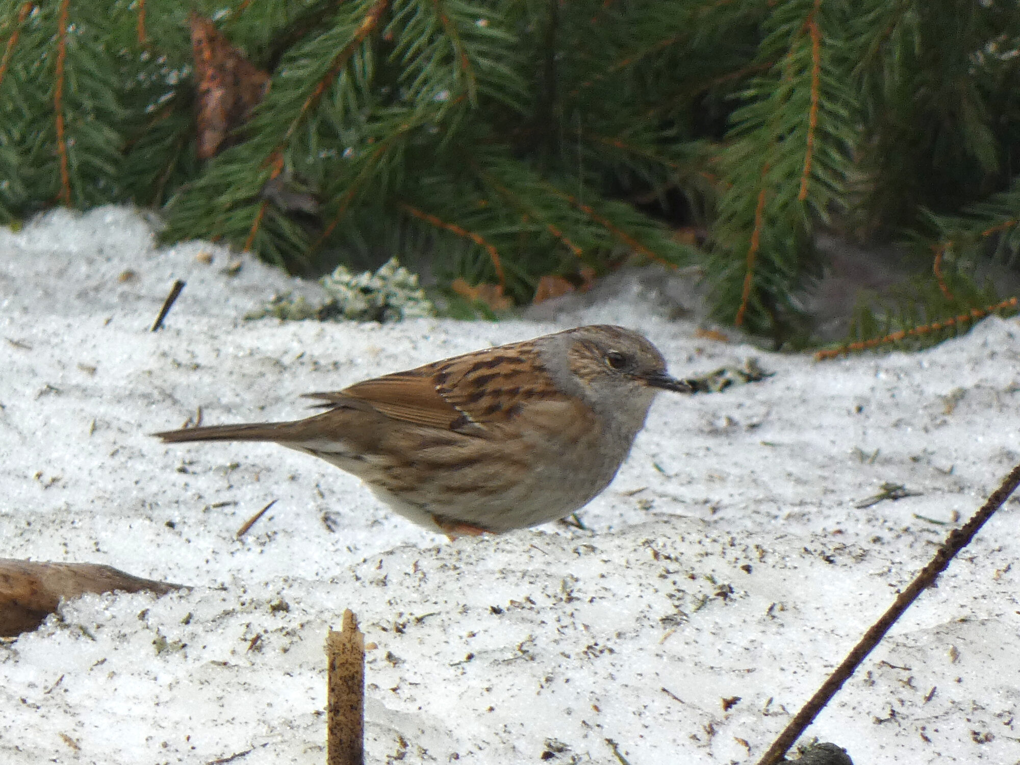 Valokuvaaja: Pekka Heino