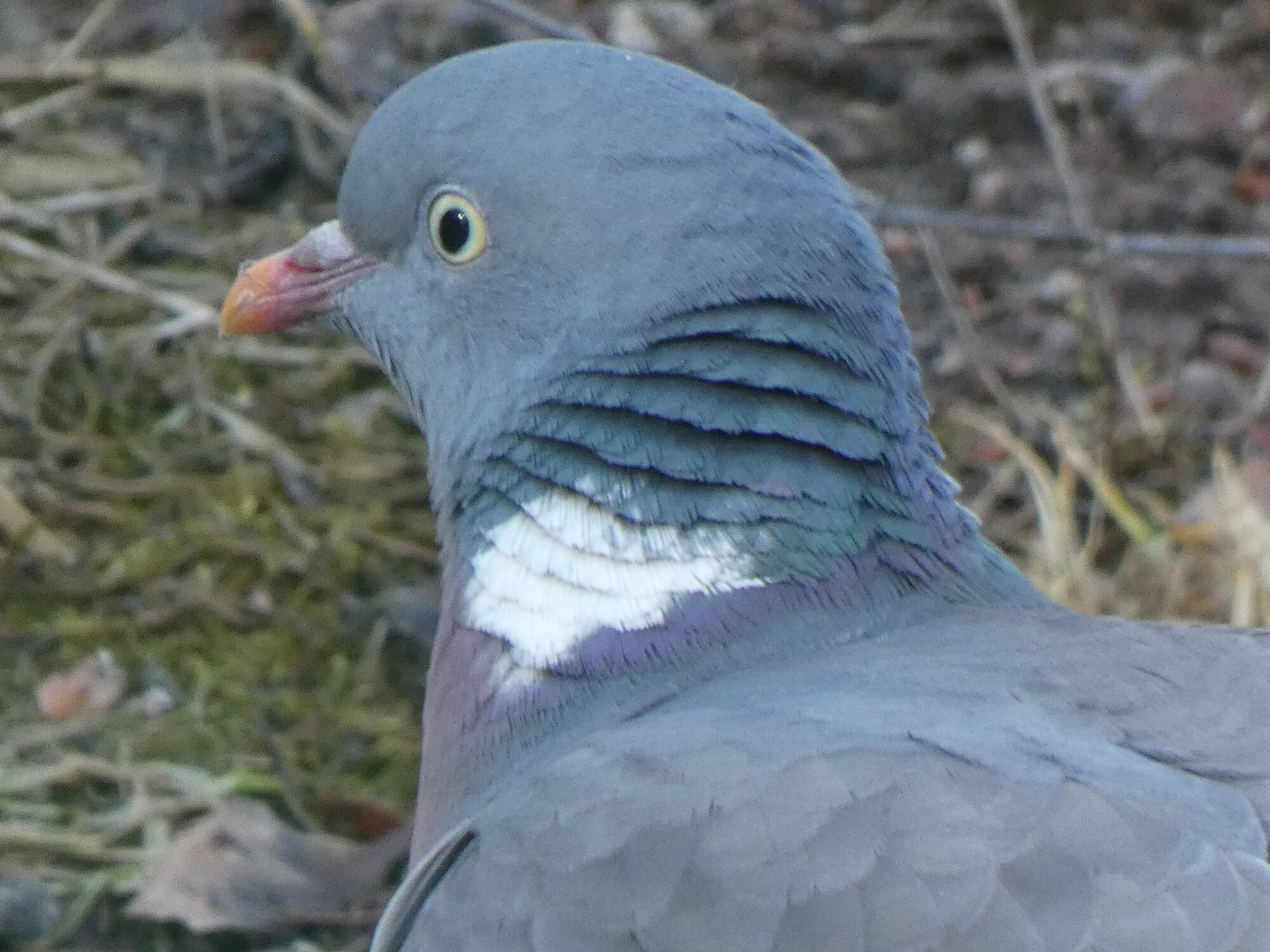 Valokuvaaja: Pekka Heino