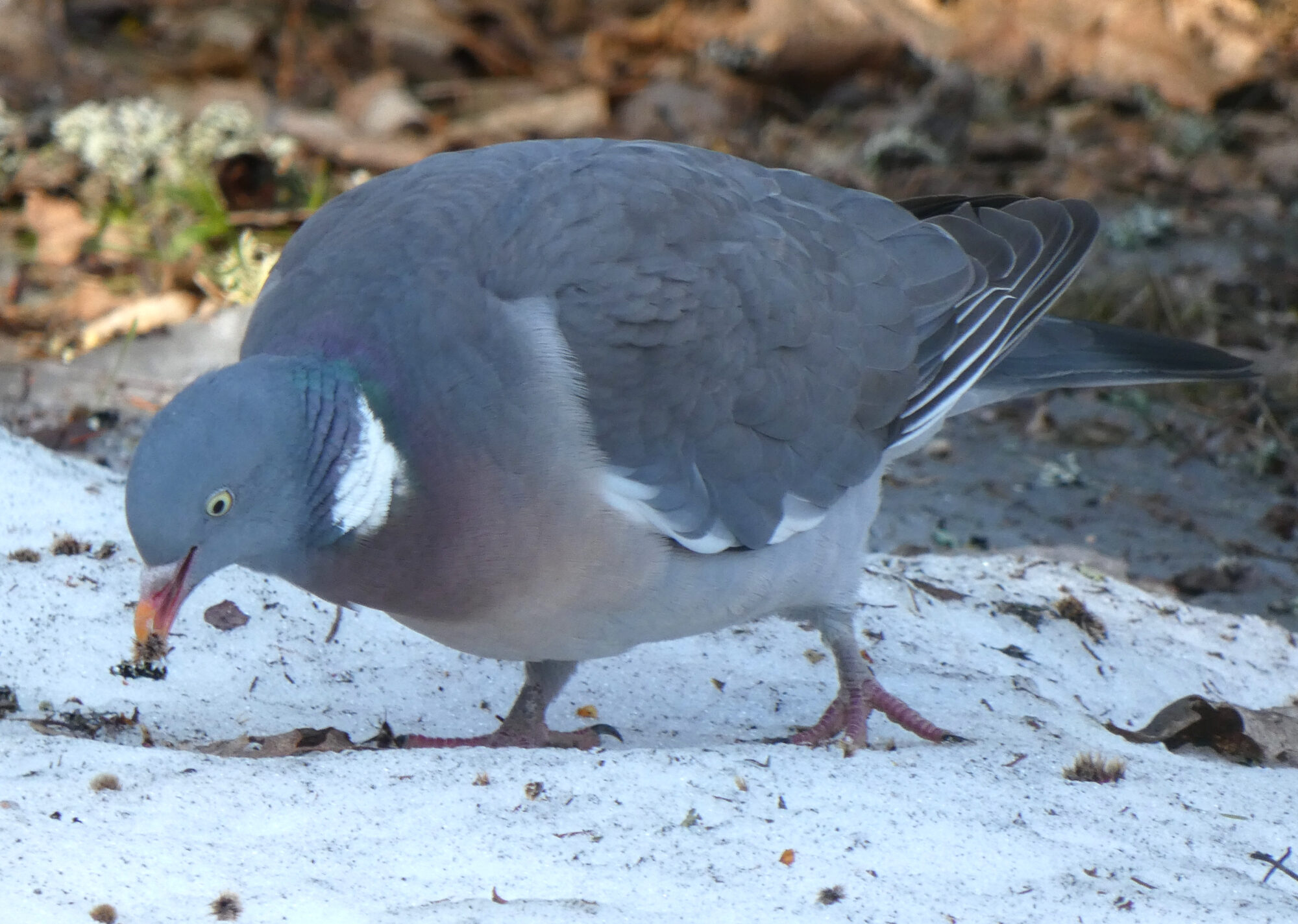 Valokuvaaja: Pekka Heino
