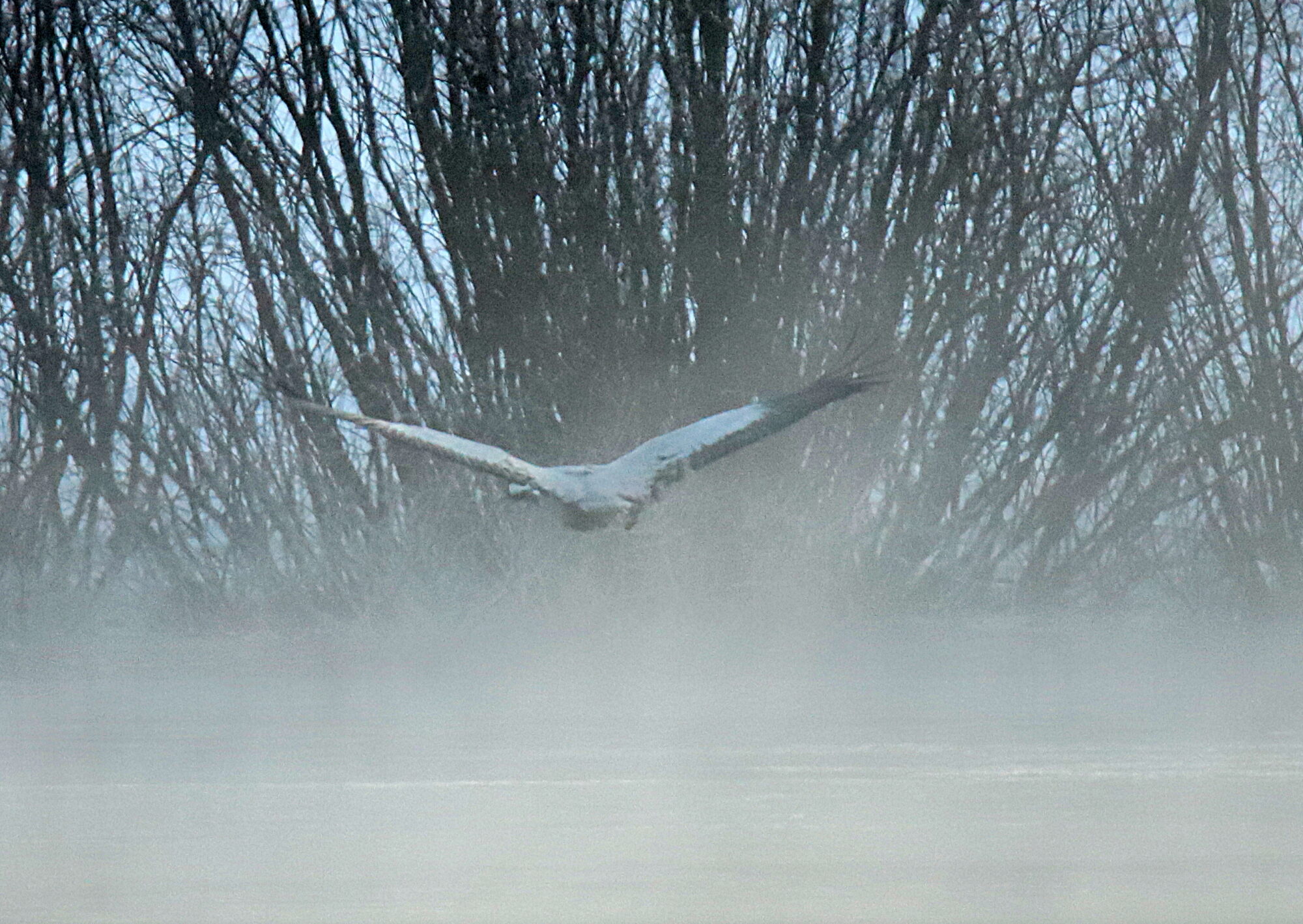 Valokuvaaja: sirpa jyske Valokuvaaja: sirpa jyske