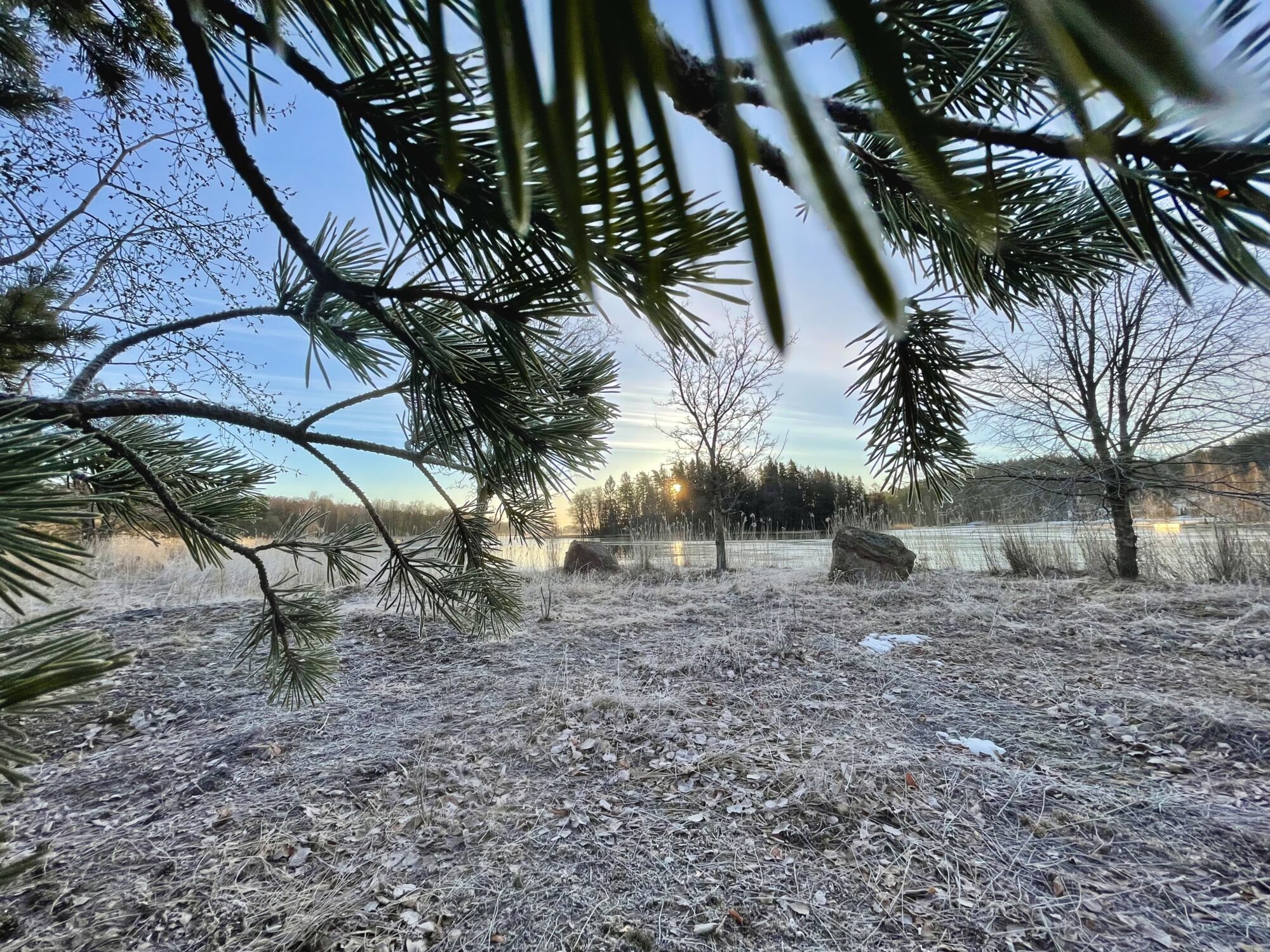 Valokuvaaja: Juhani Peltonen