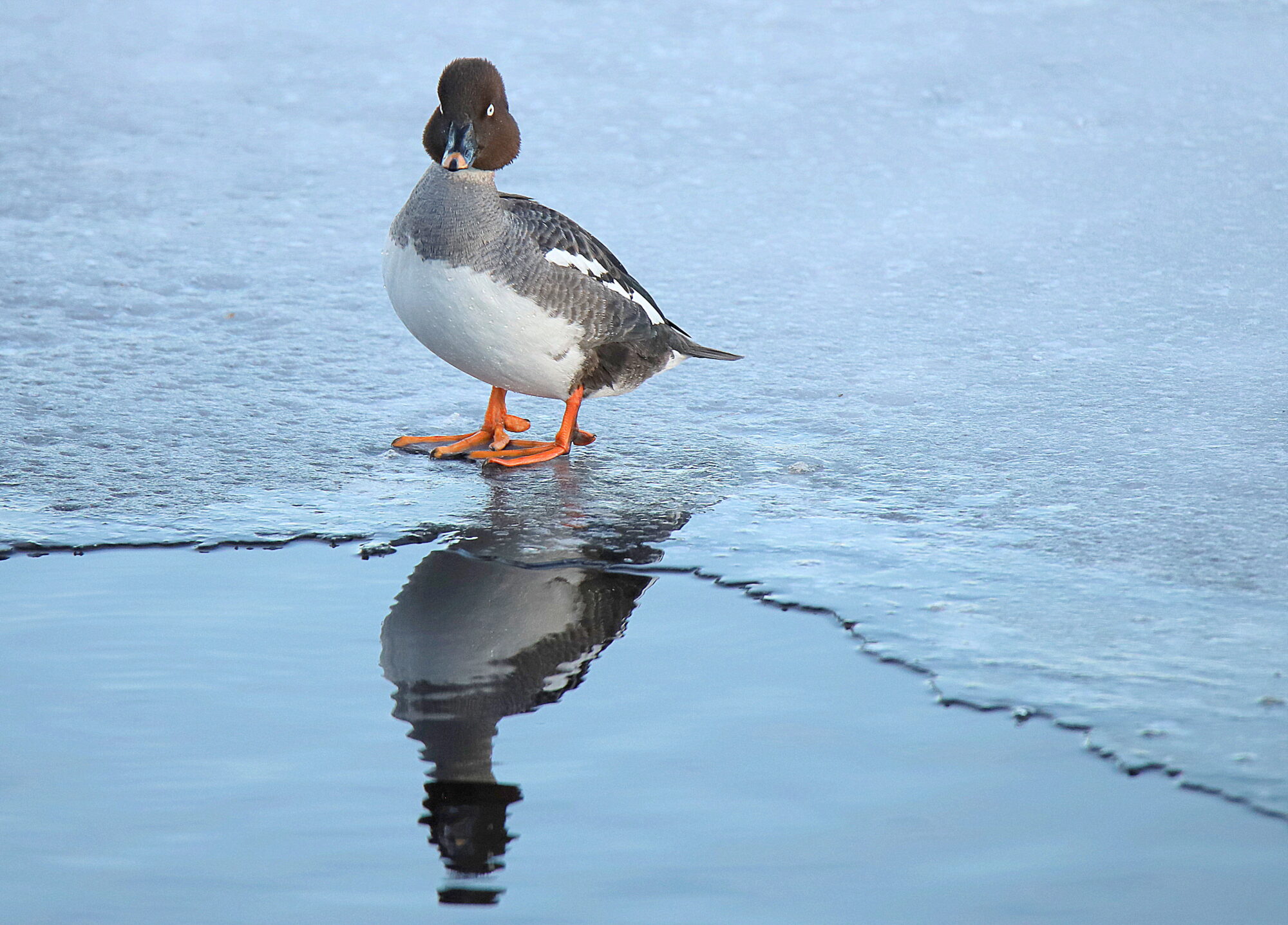 Valokuvaaja: sirpa jyske