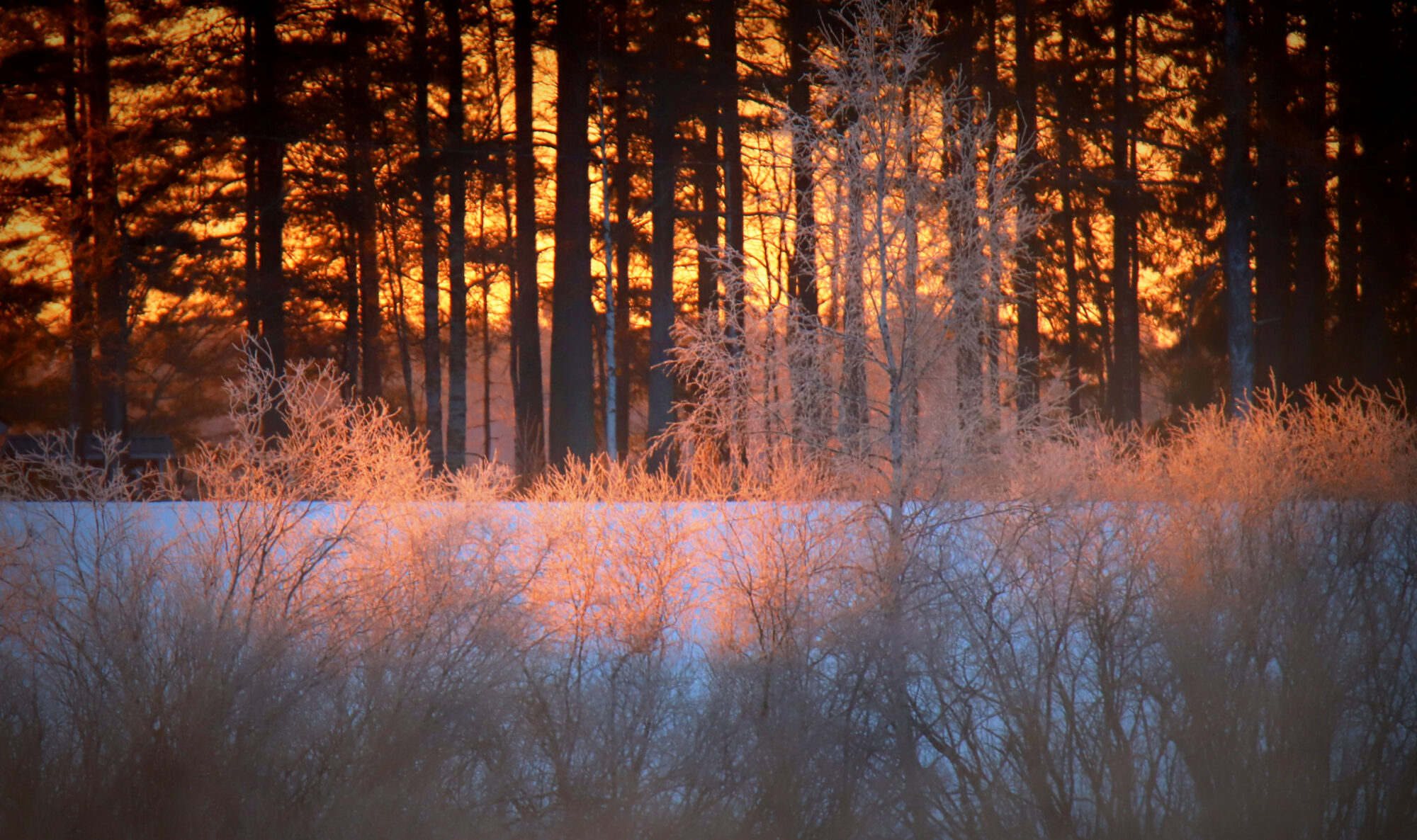 Valokuvaaja: sirpa jyske Valokuvaaja: sirpa jyske