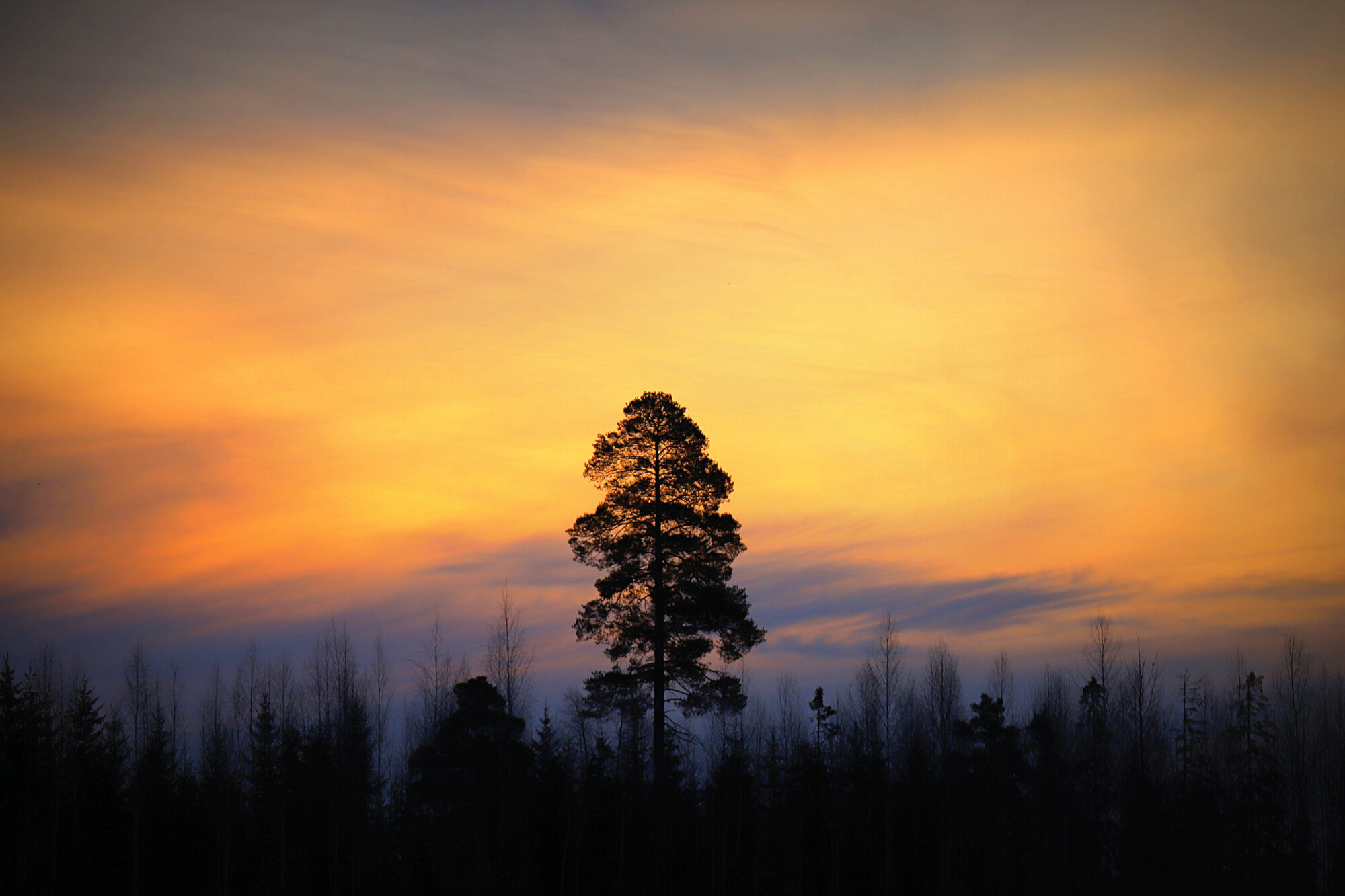 Valokuvaaja: sirpa jyske