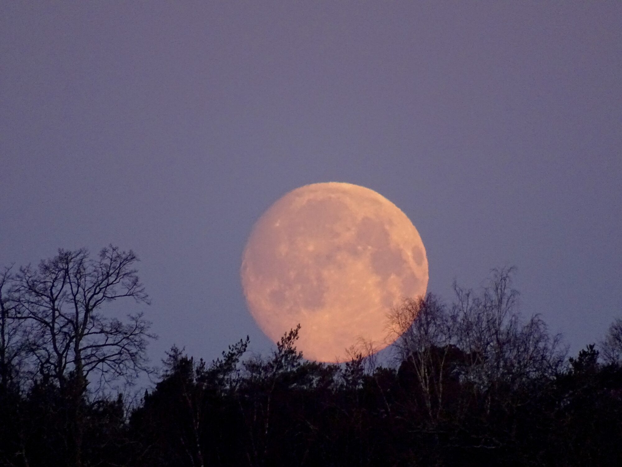 Valokuvaaja: Juhani Peltonen