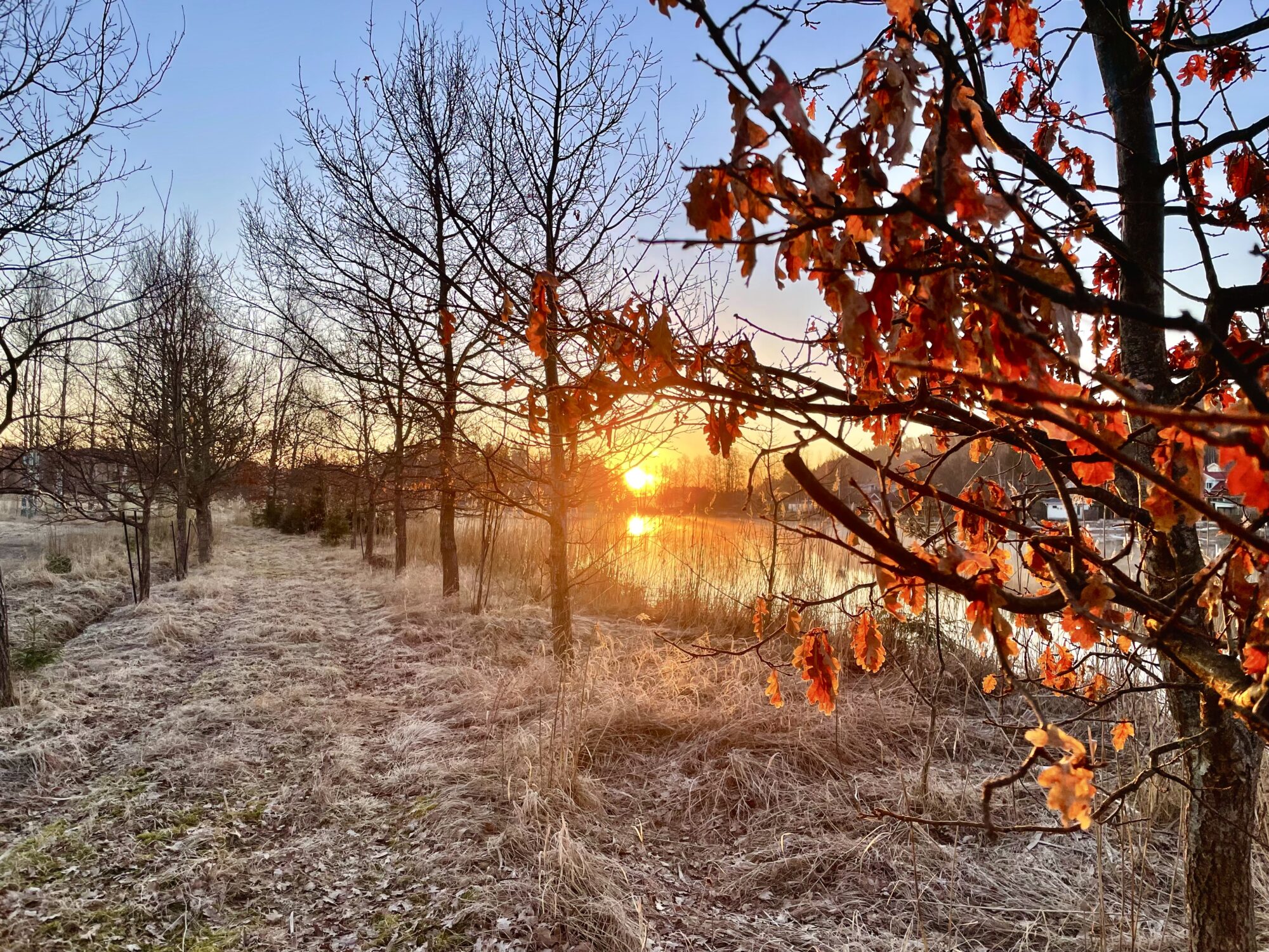 Valokuvaaja: Juhani Peltonen
