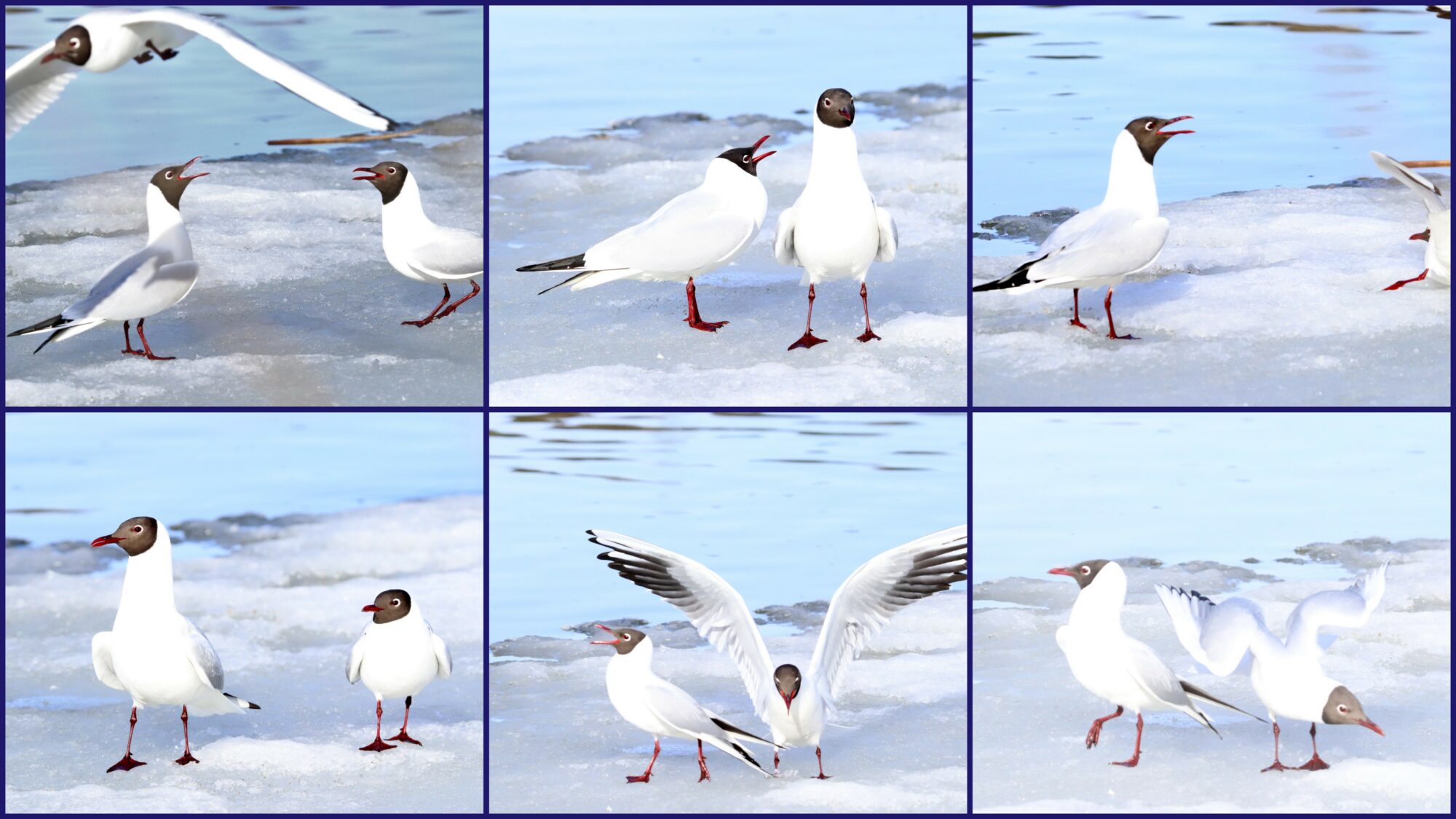 Valokuvaaja: Irja Lehtinen