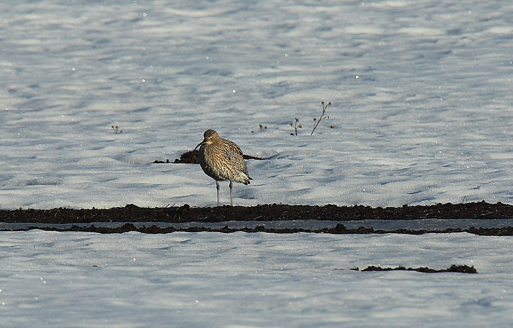 Valokuvaaja: sirpa jyske