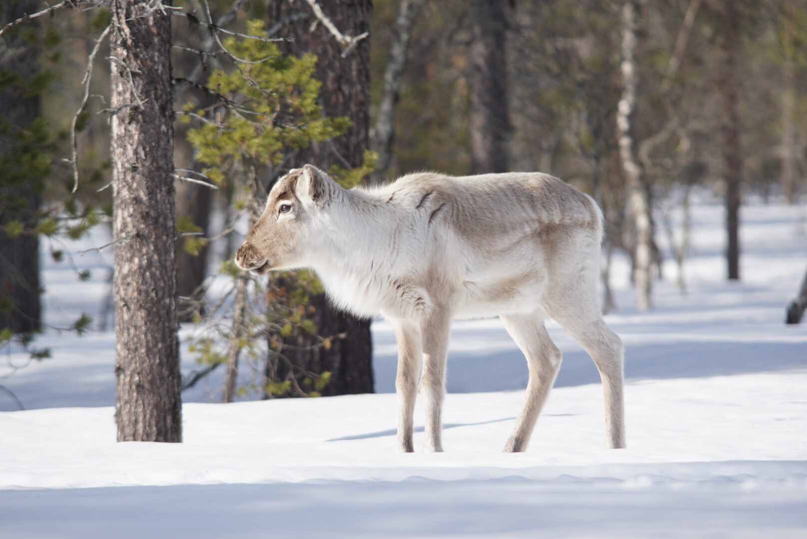Valokuvaaja: Markku Ranta-Eilola