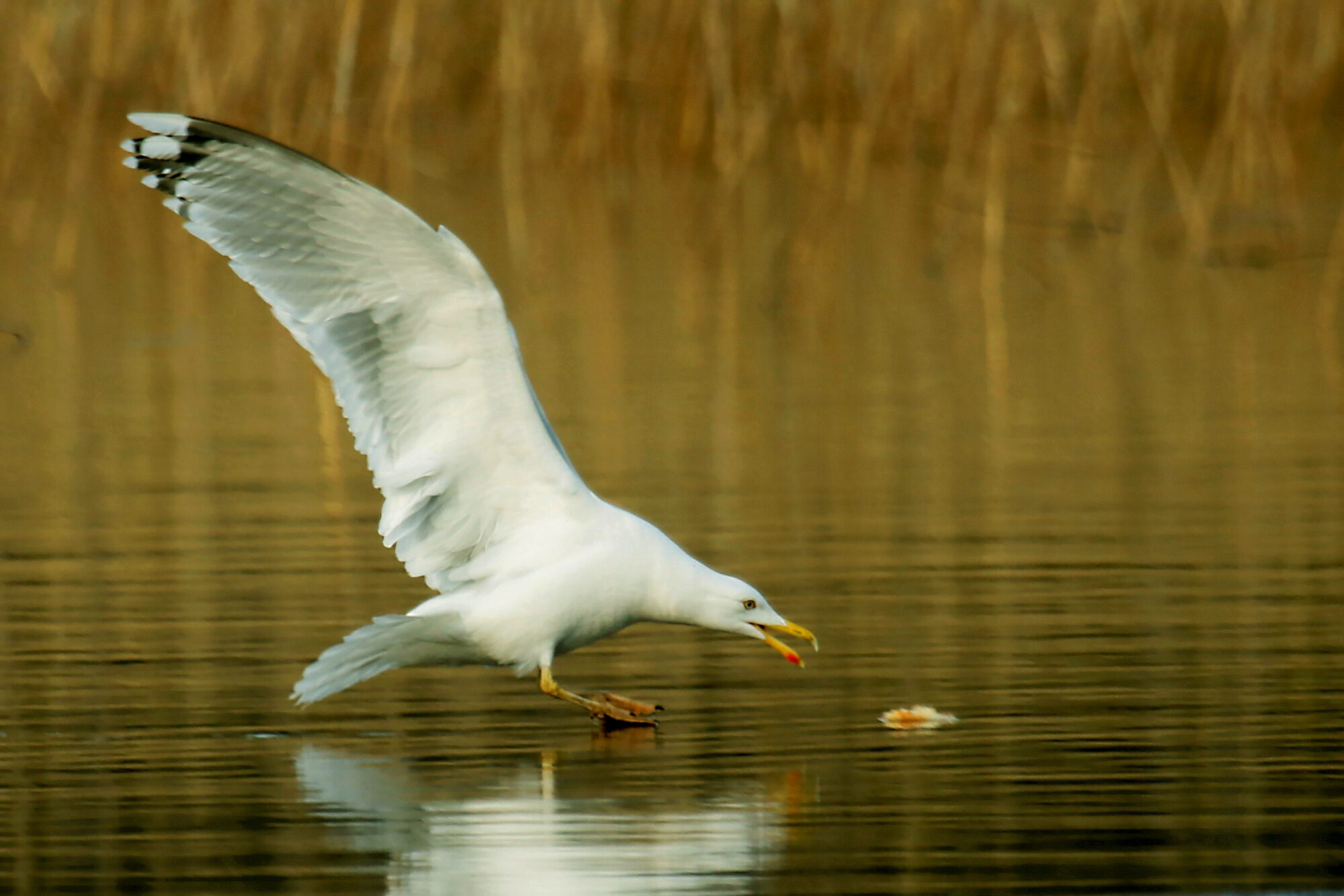 Valokuvaaja: Ritva Nieminen