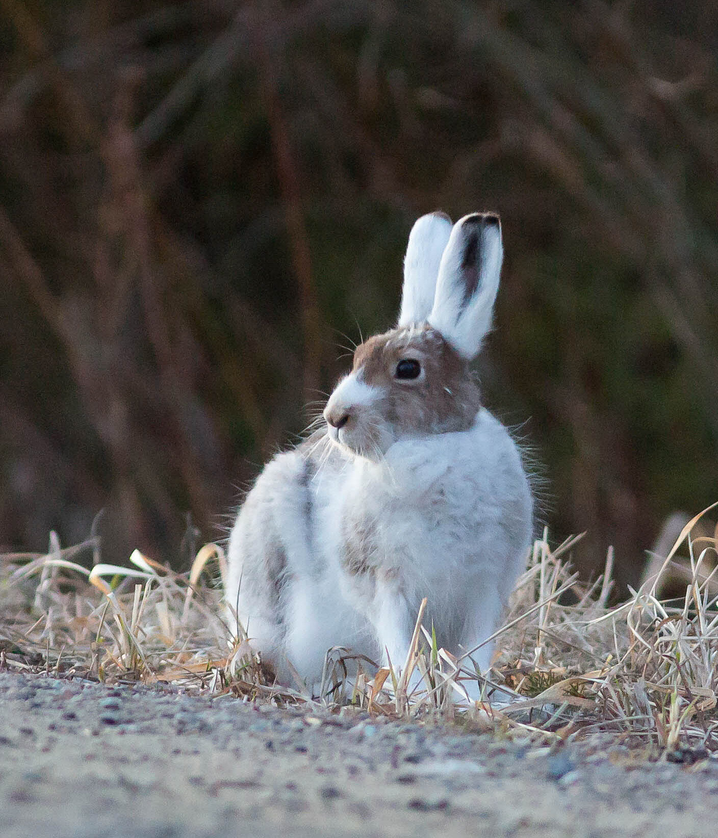 Valokuvaaja: Irma Kortekallio