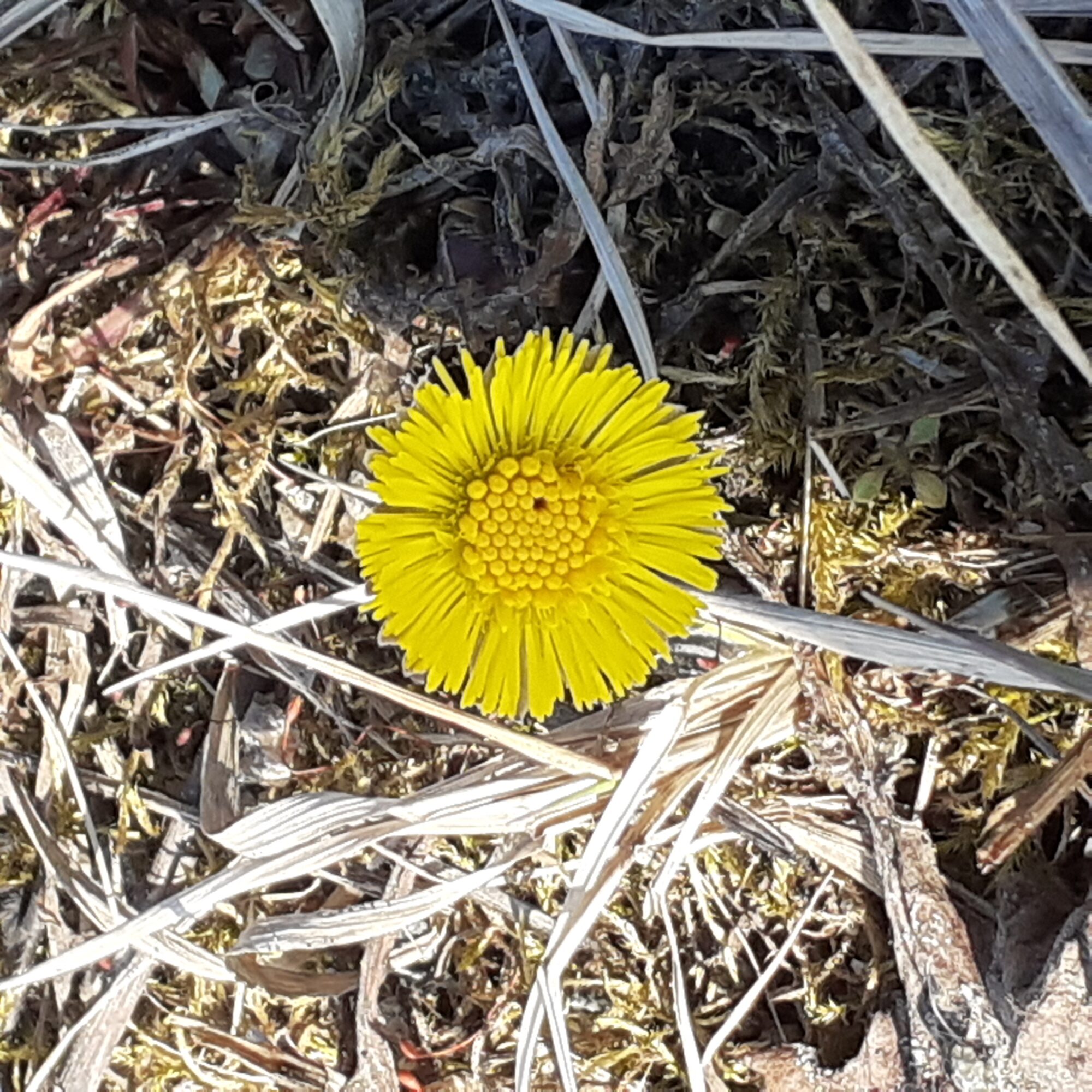 Valokuvaaja: Maarit Pietiläinen