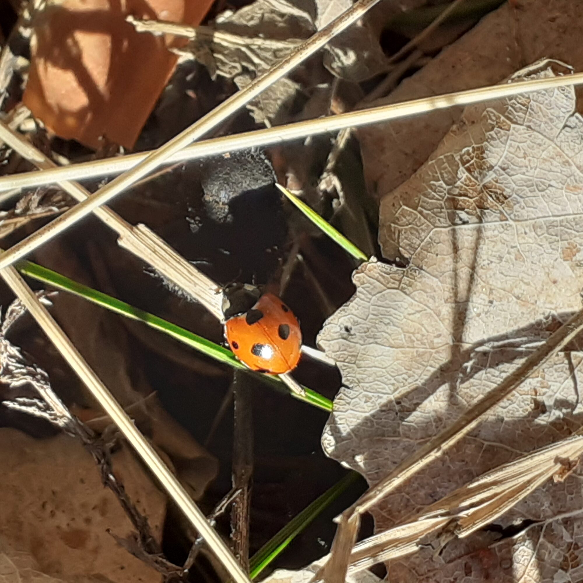 Valokuvaaja: Maarit Pietiläinen