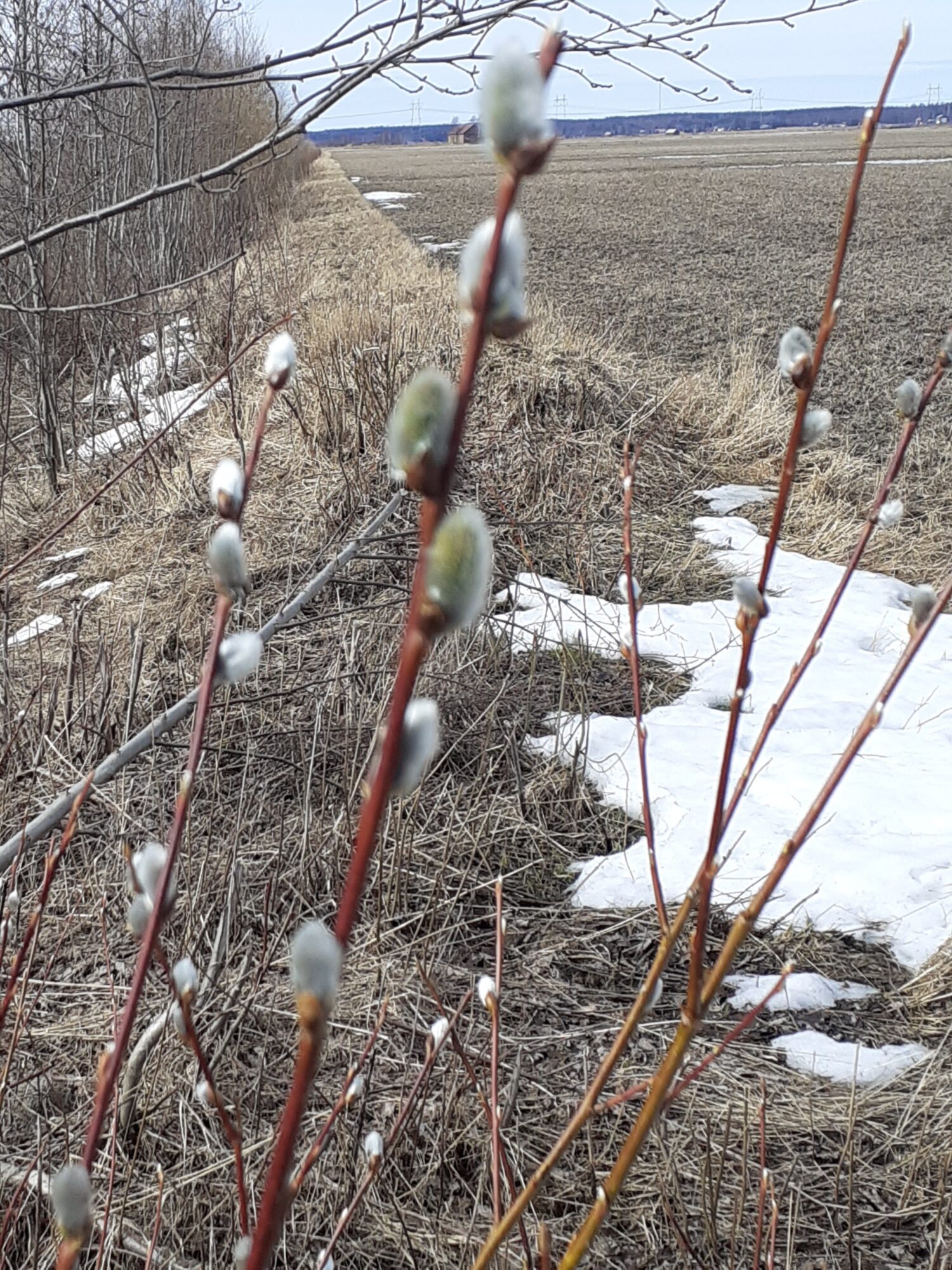 Valokuvaaja: Maarit Pietiläinen