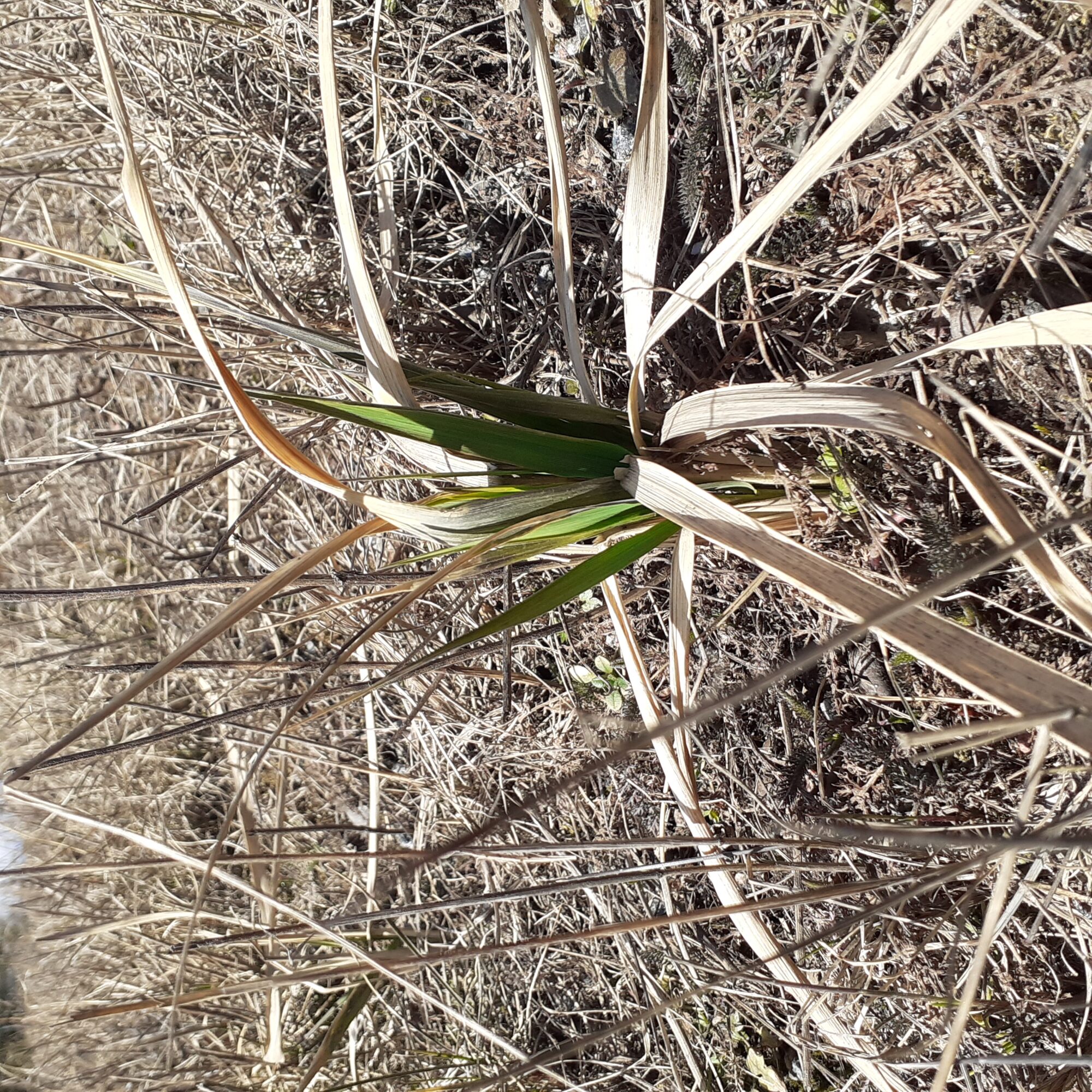 Valokuvaaja: Maarit Pietiläinen Valokuvaaja: Maarit Pietiläinen
