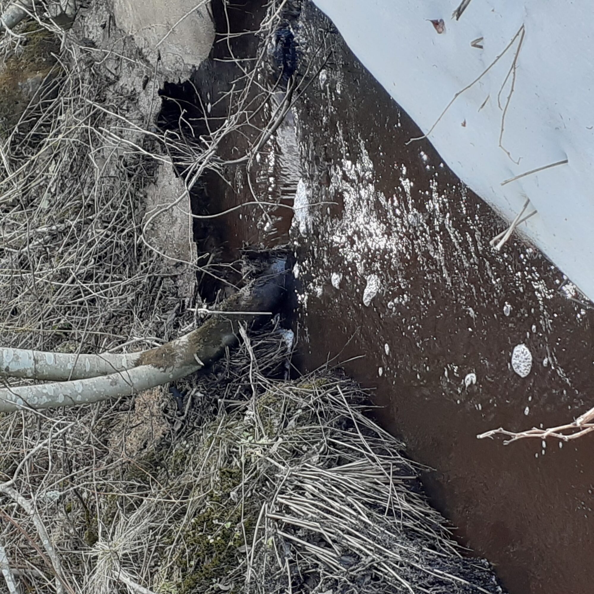 Valokuvaaja: Maarit Pietiläinen