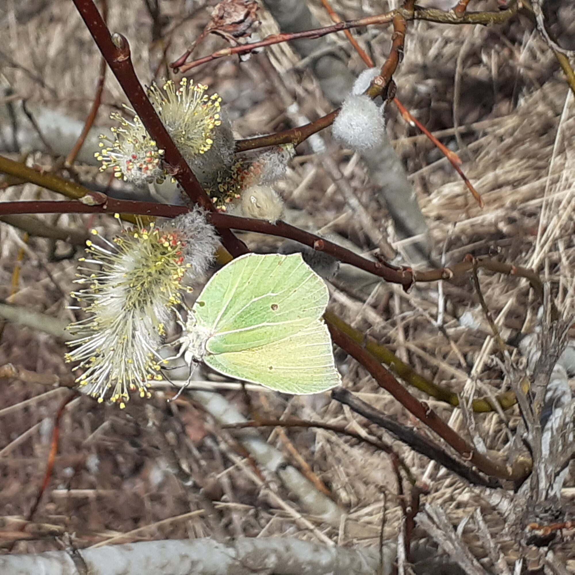 Valokuvaaja: Maarit Pietiläinen