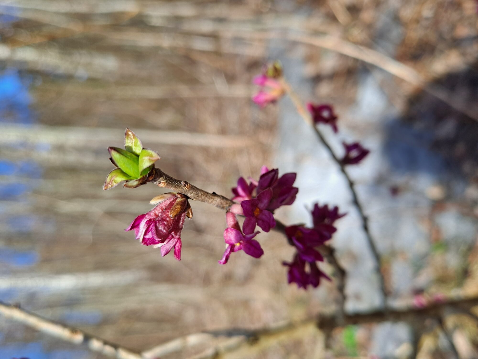 Valokuvaaja: Satu Suuntala