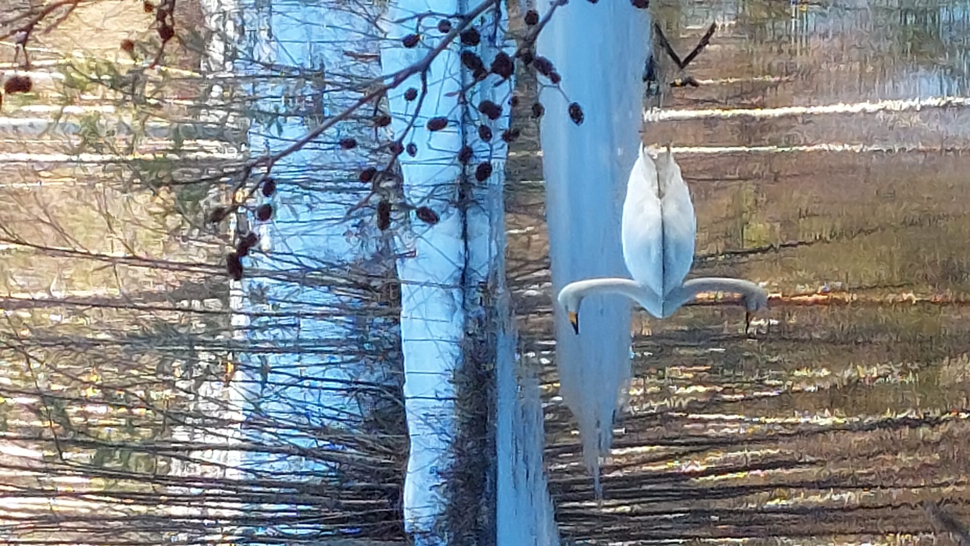 Valokuvaaja: Tarja Naukkarinen