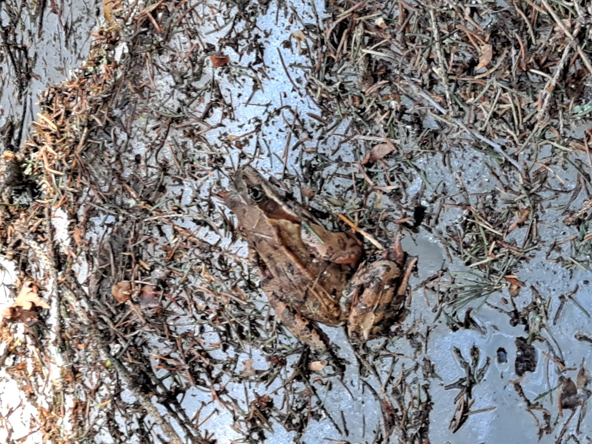 Valokuvaaja: Satu Suuntala