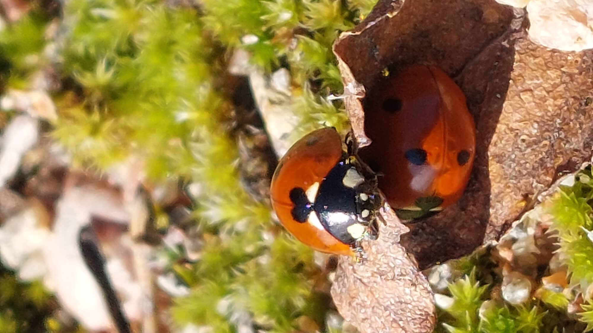 Valokuvaaja: Tarja Naukkarinen