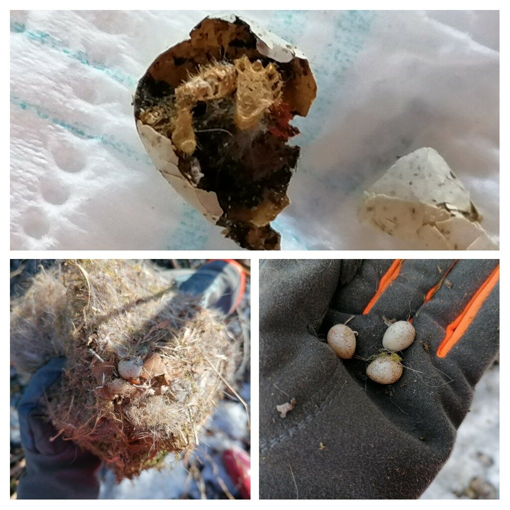 Valokuvaaja: Kaija Halonen