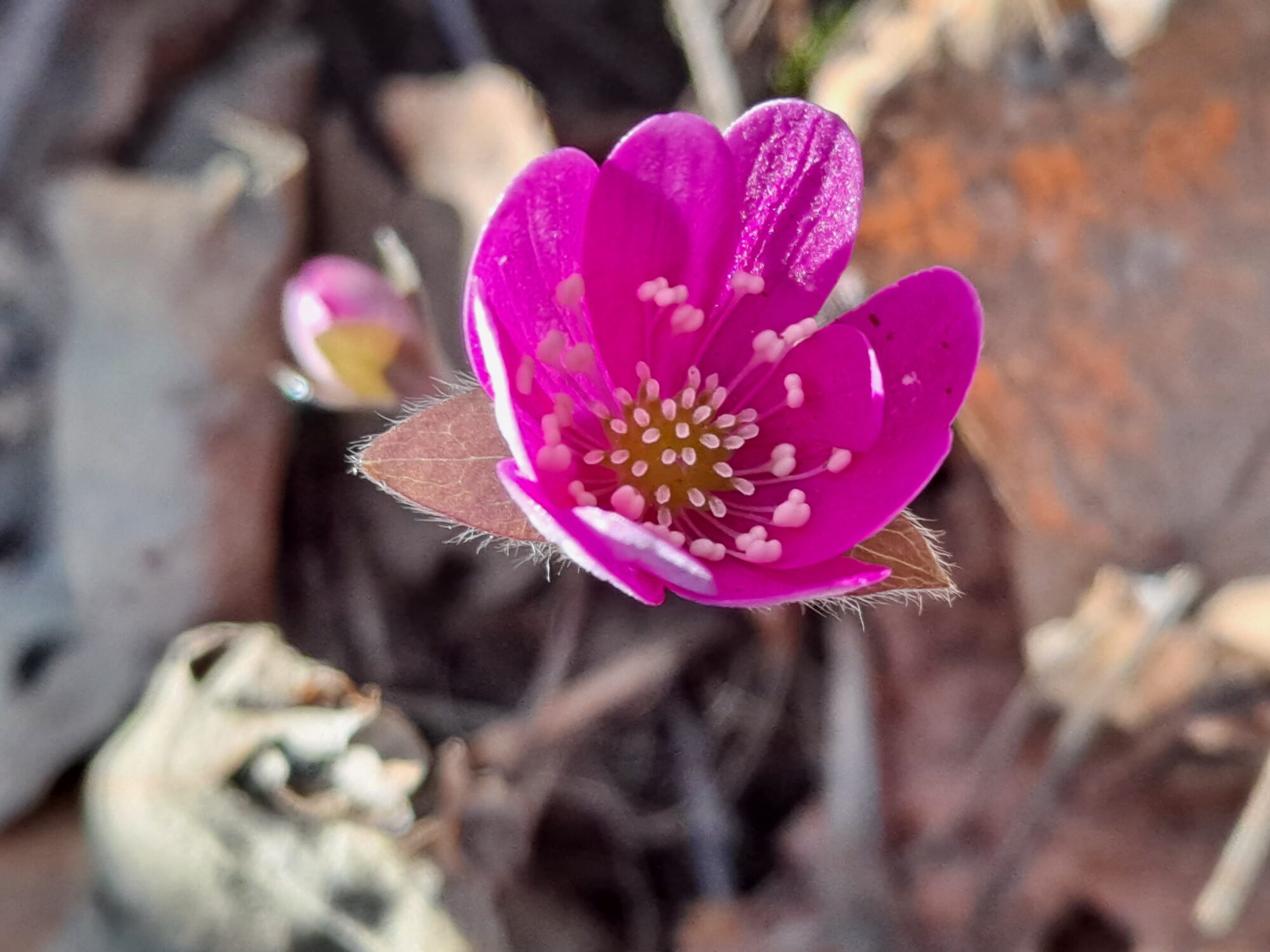 Valokuvaaja: Satu Suuntala