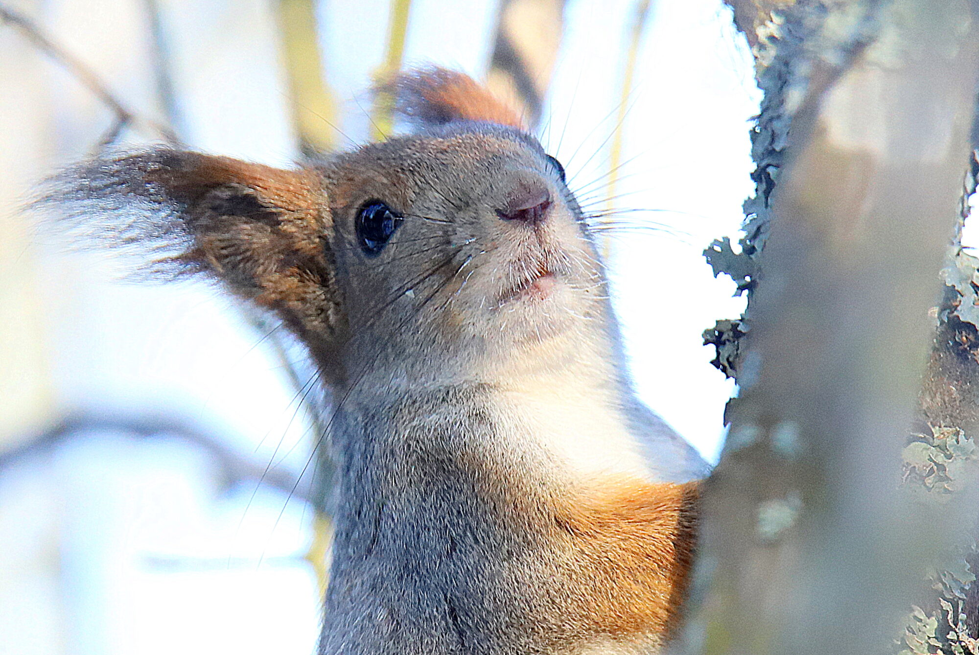 Valokuvaaja: sirpa jyske