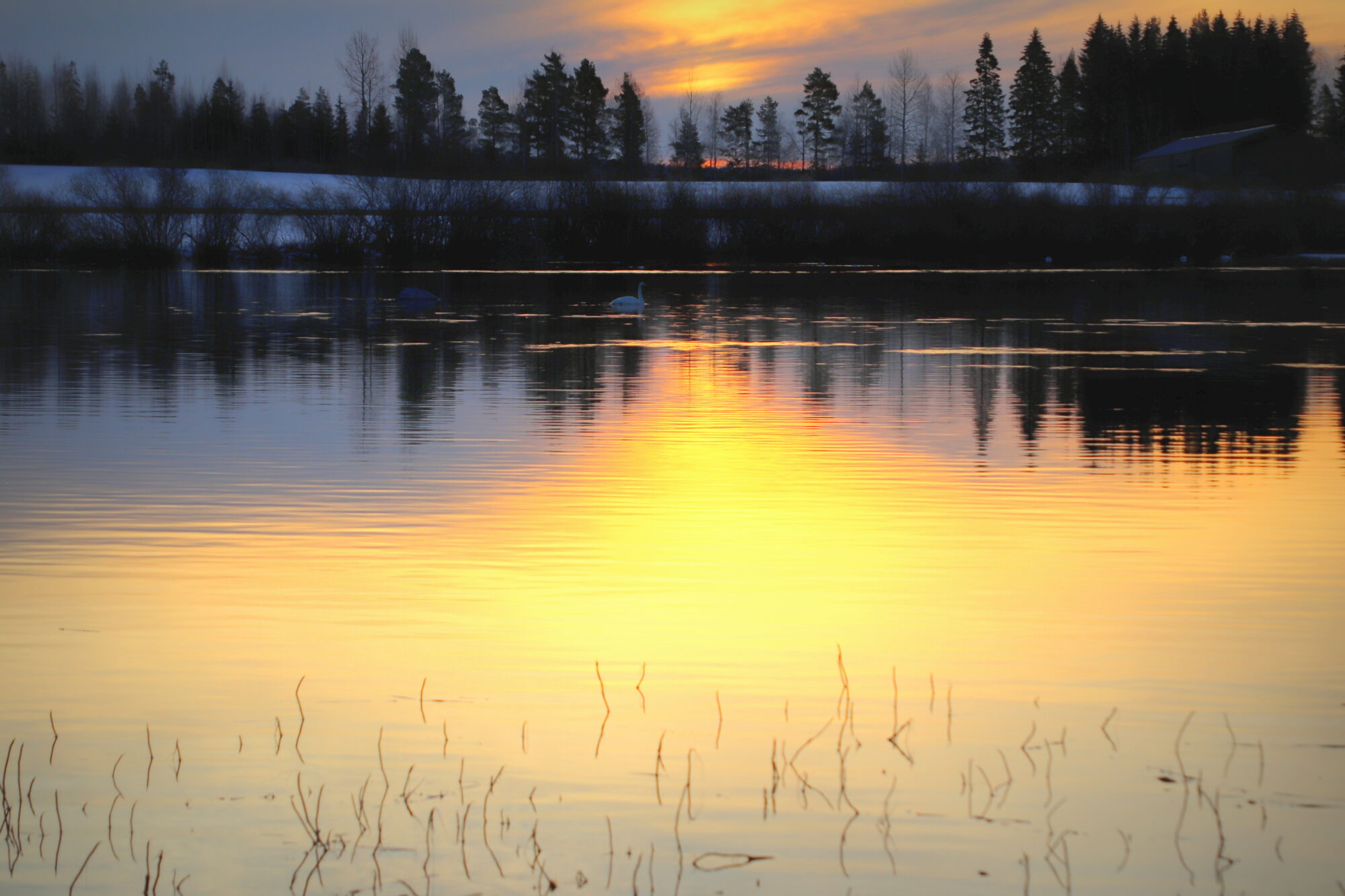 Valokuvaaja: sirpa jyske