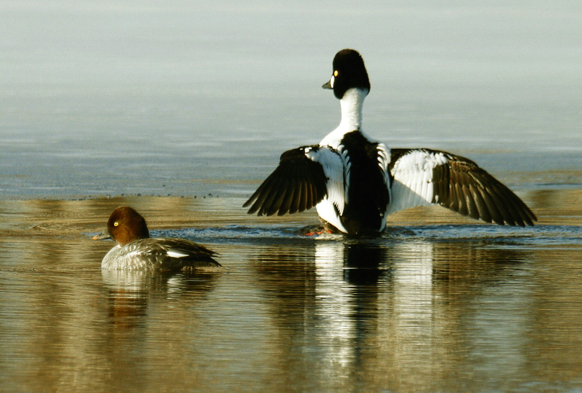 Valokuvaaja: Ritva Nieminen