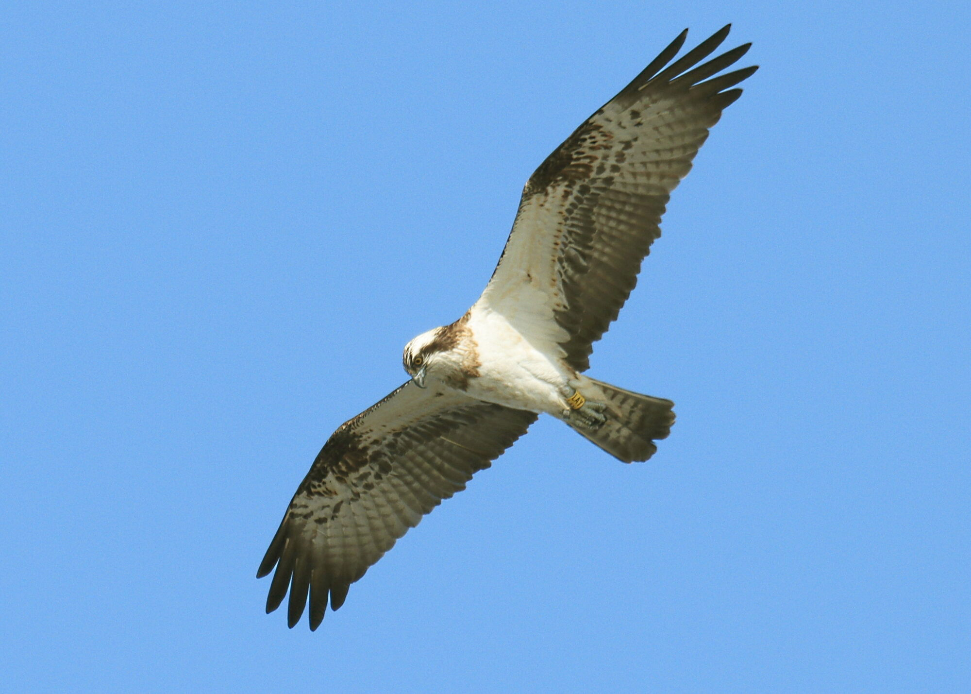 Valokuvaaja: Ritva Nieminen