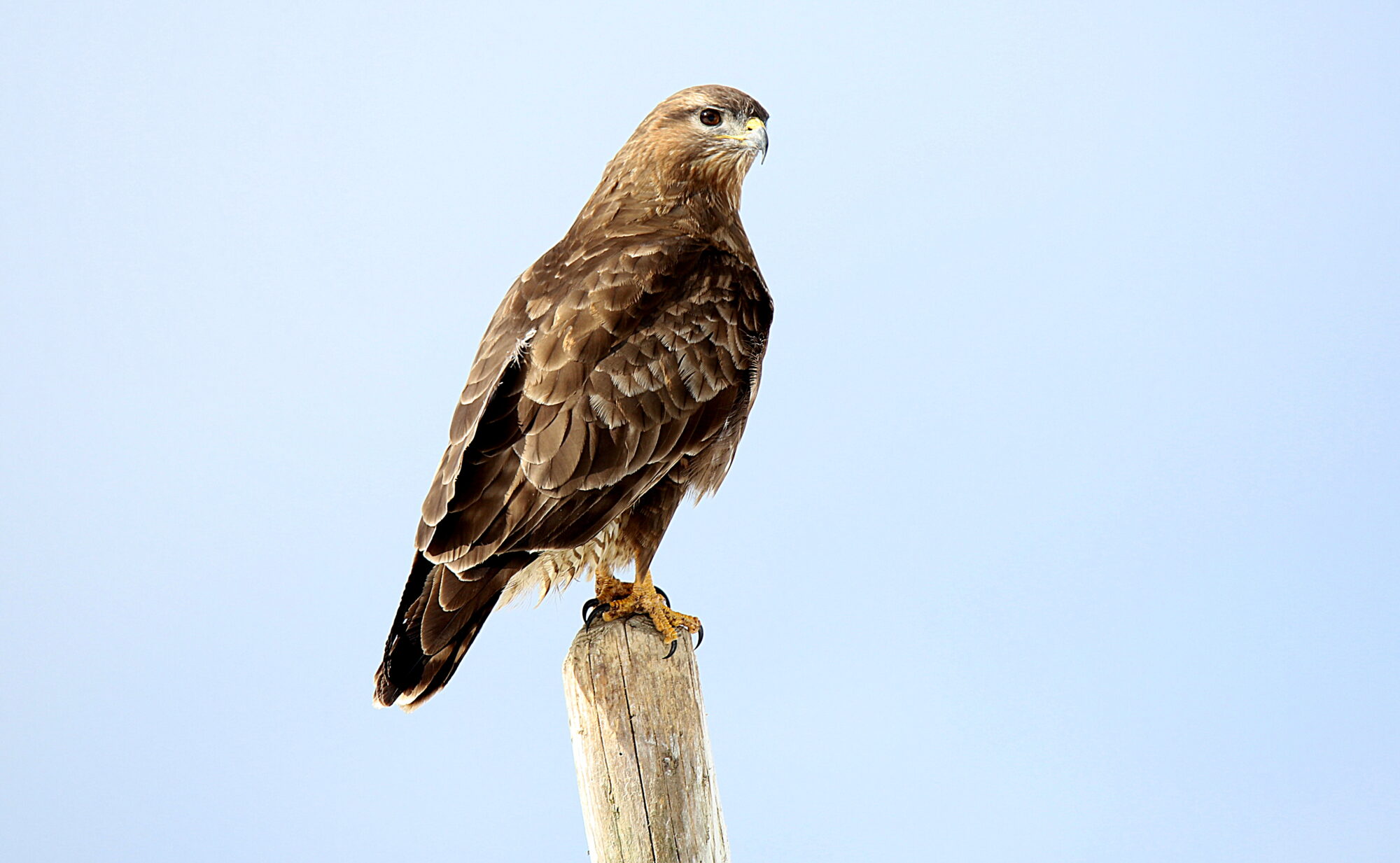 Valokuvaaja: sirpa jyske